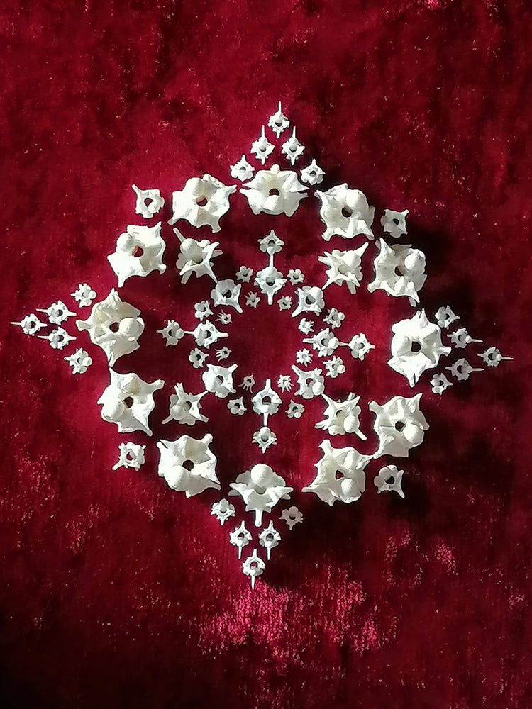 Sacred Bone Mandala