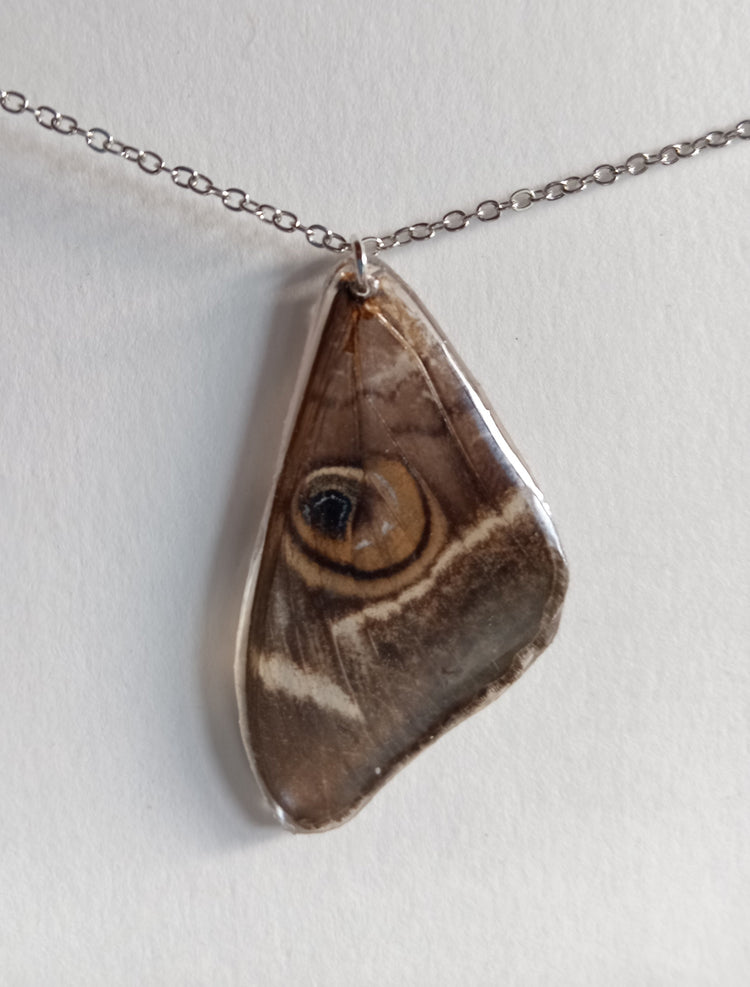 Resin- Foraged Flora & Fauna Pendants