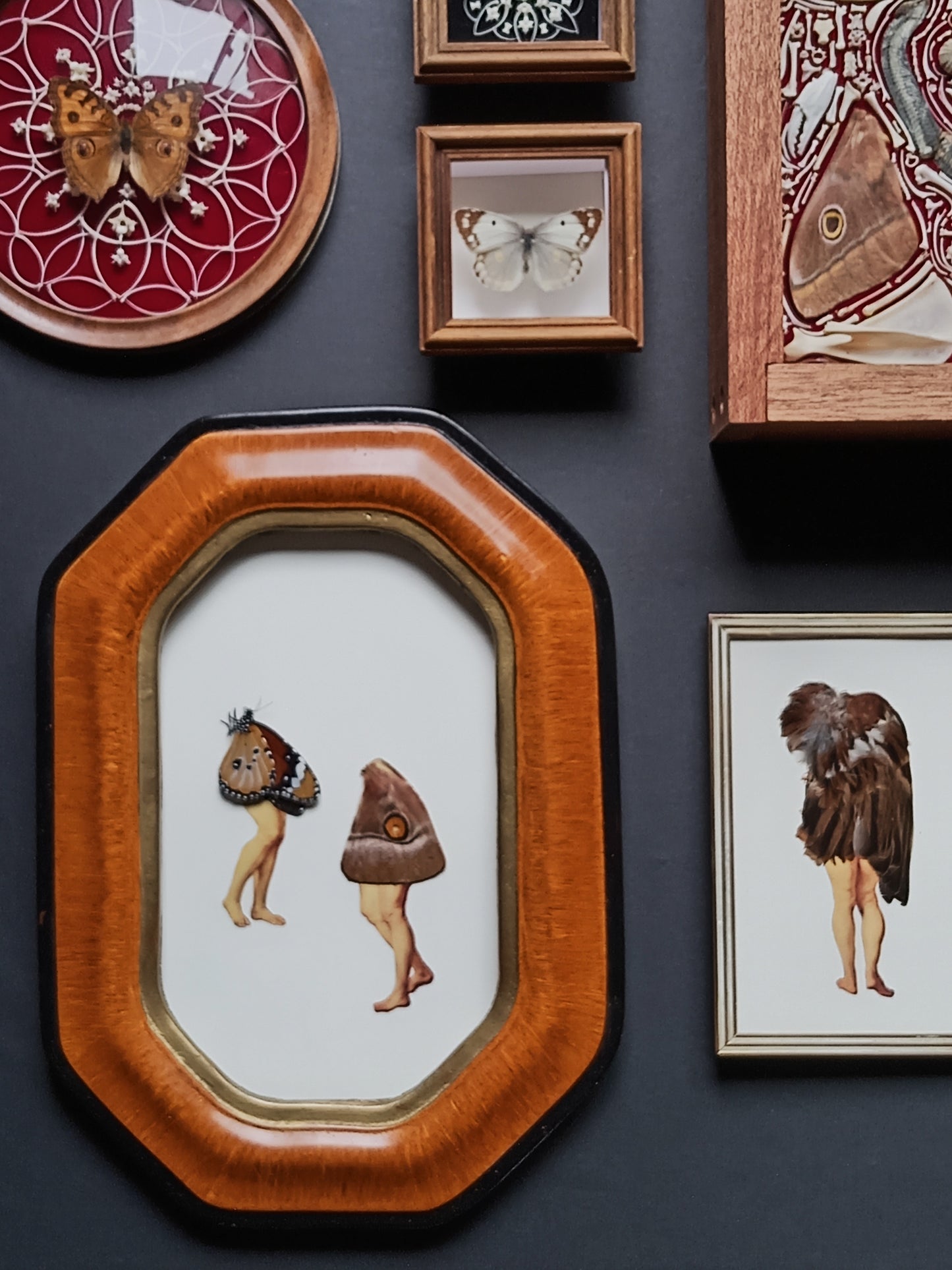 Butterfly legs in Vintage Frame