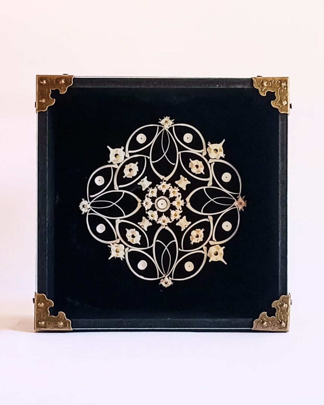 Snake Bone Mandala