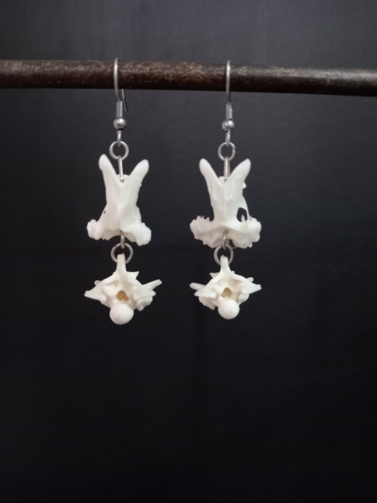 Snake and Bird Vertebra