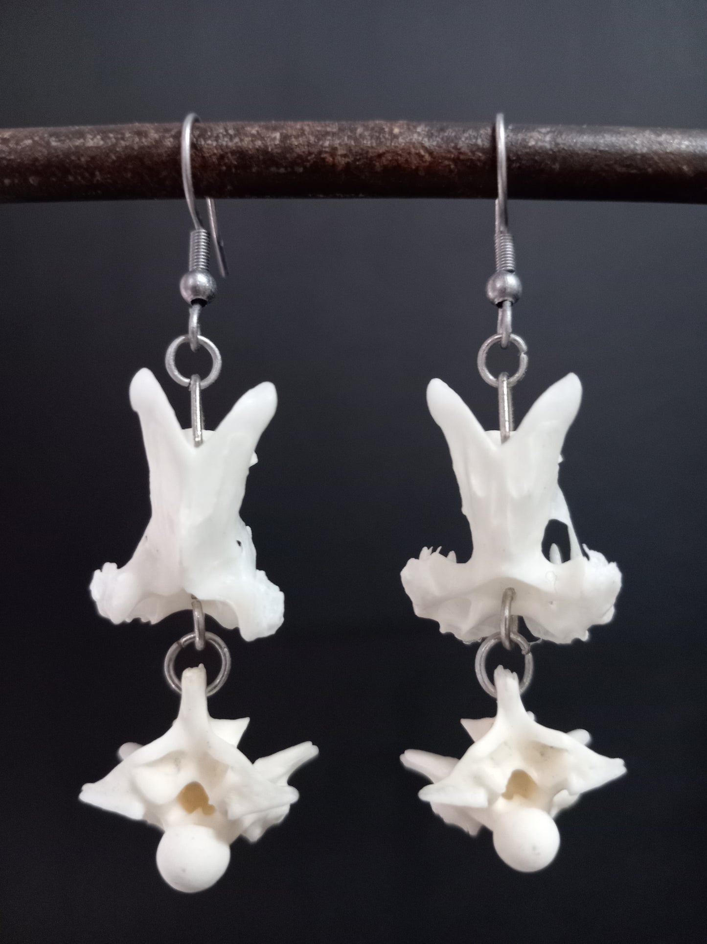 Snake and Bird Vertebra