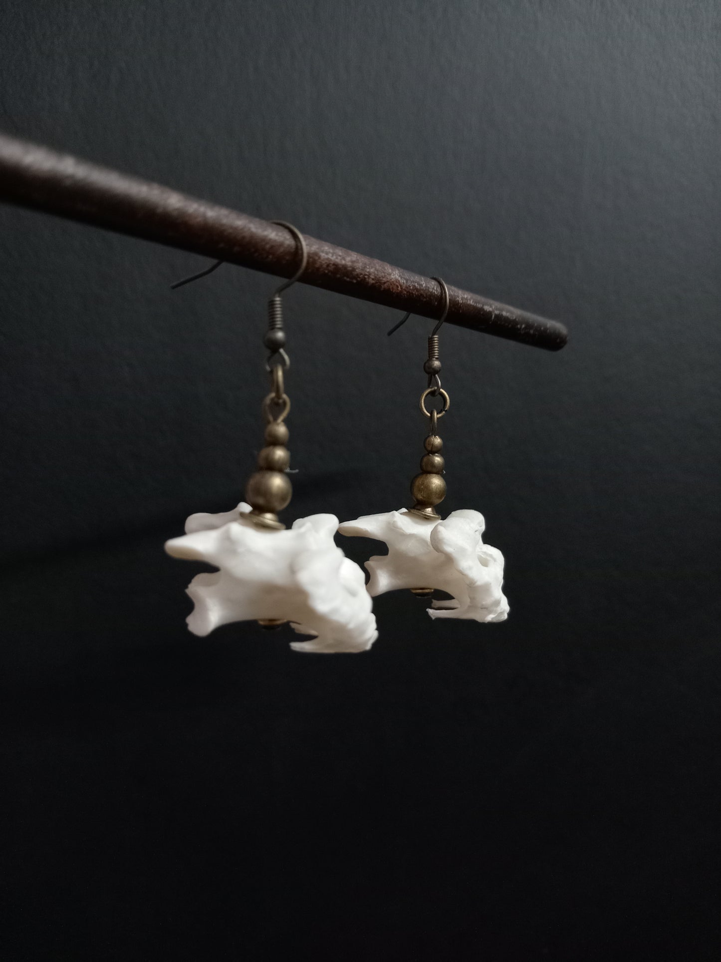 Bird Vertebra