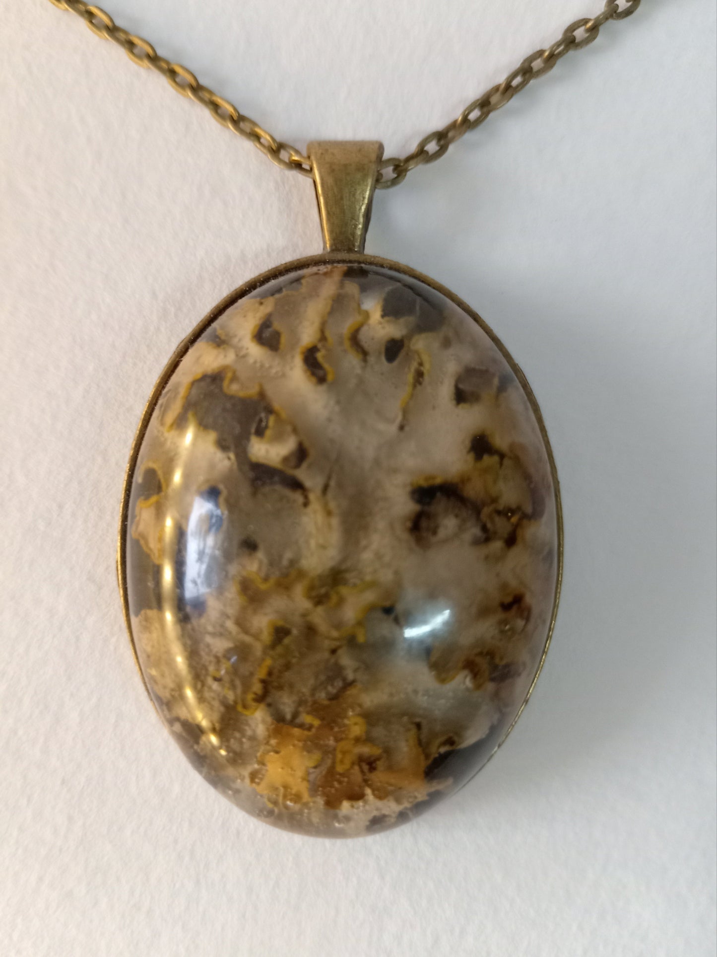 Lichen