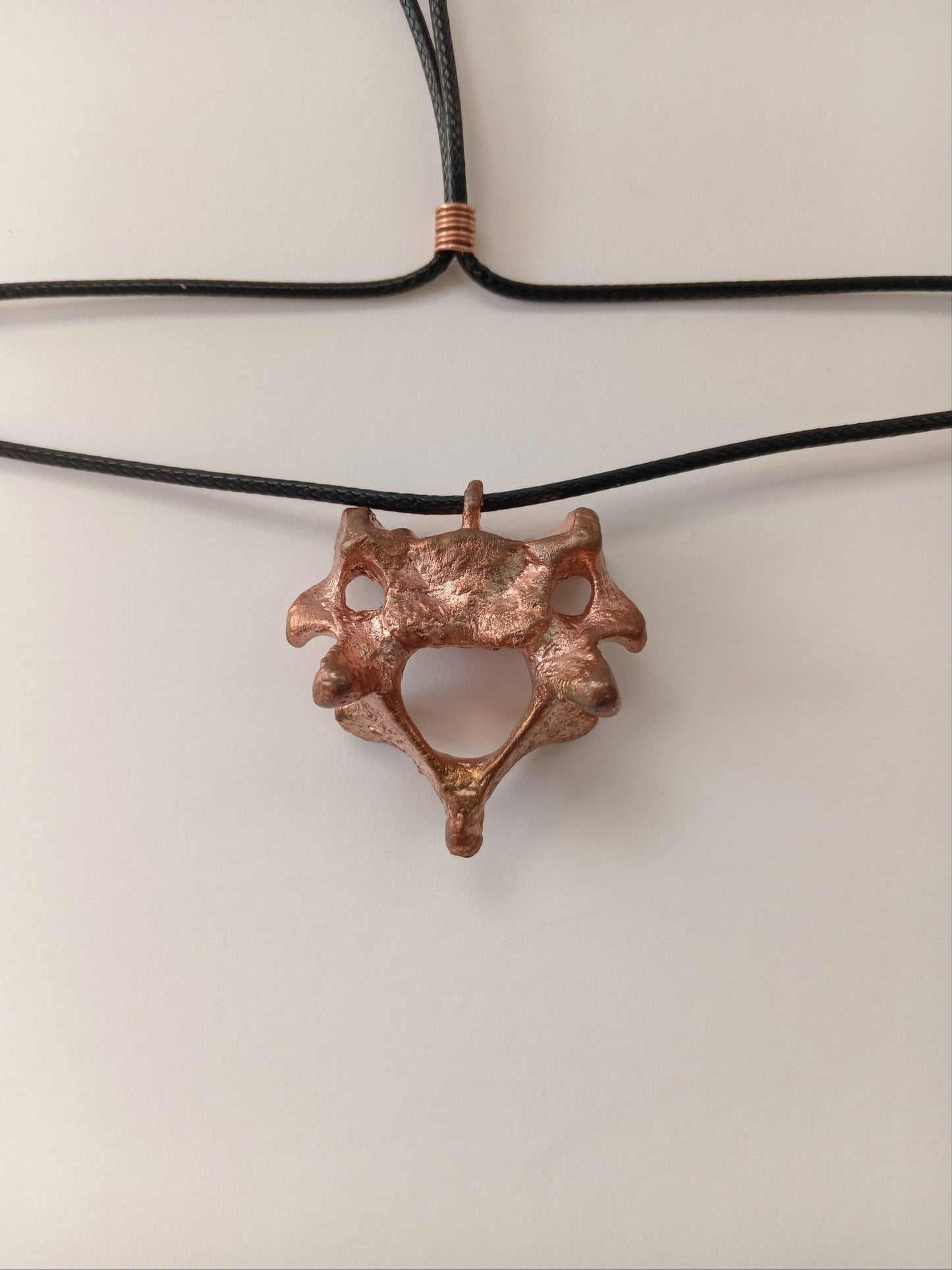 Copper Seal Vertebra