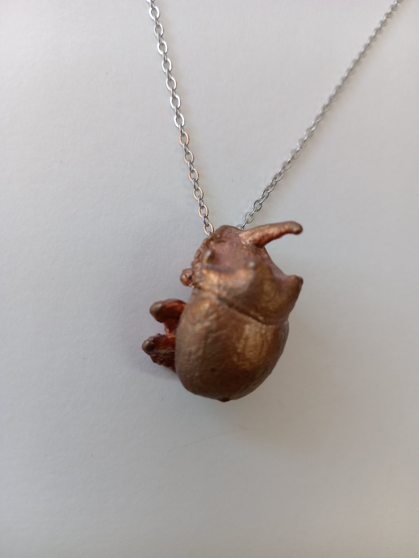 Copper Rhino Beetle