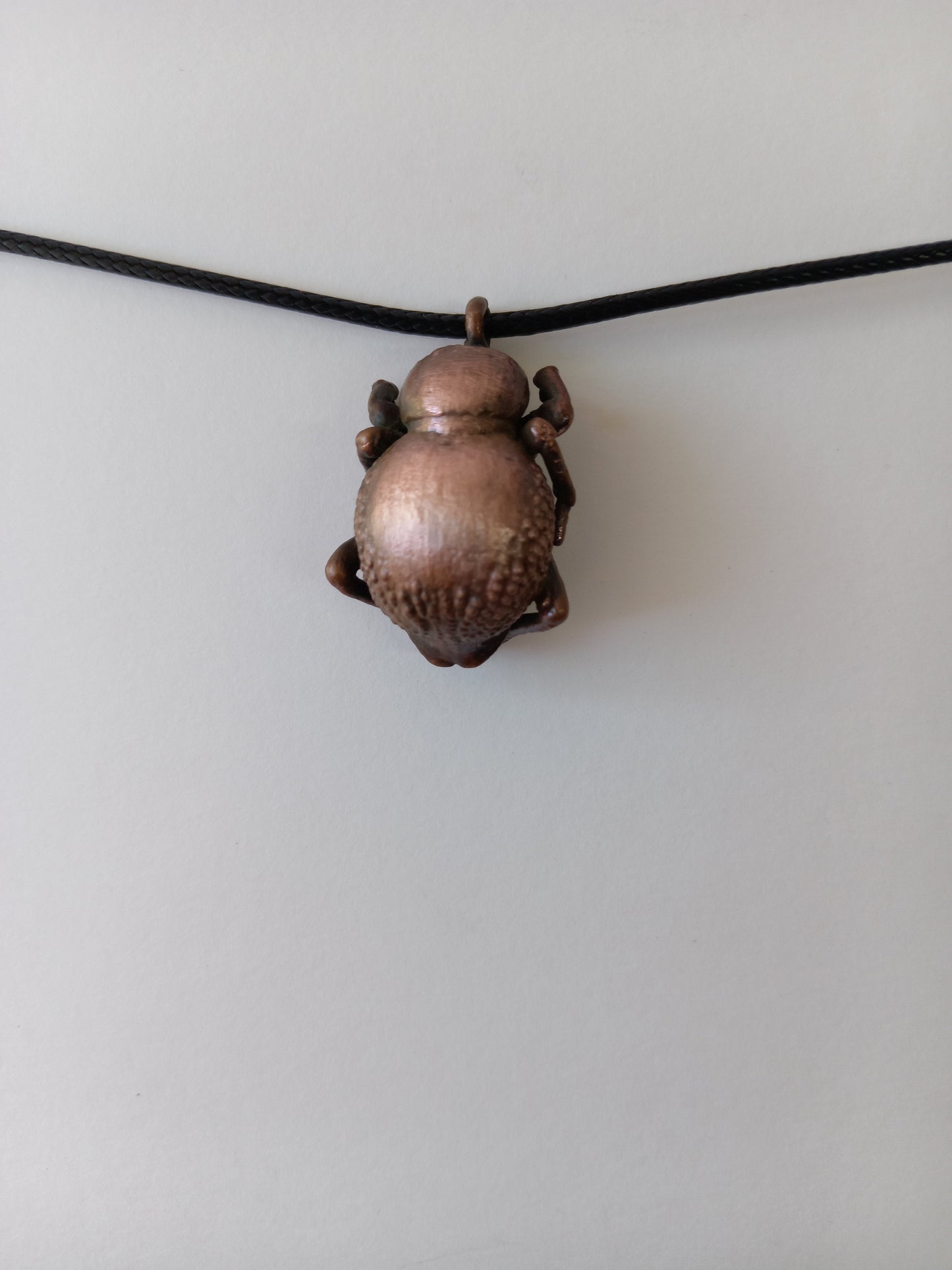 Copper Toktok Beetle