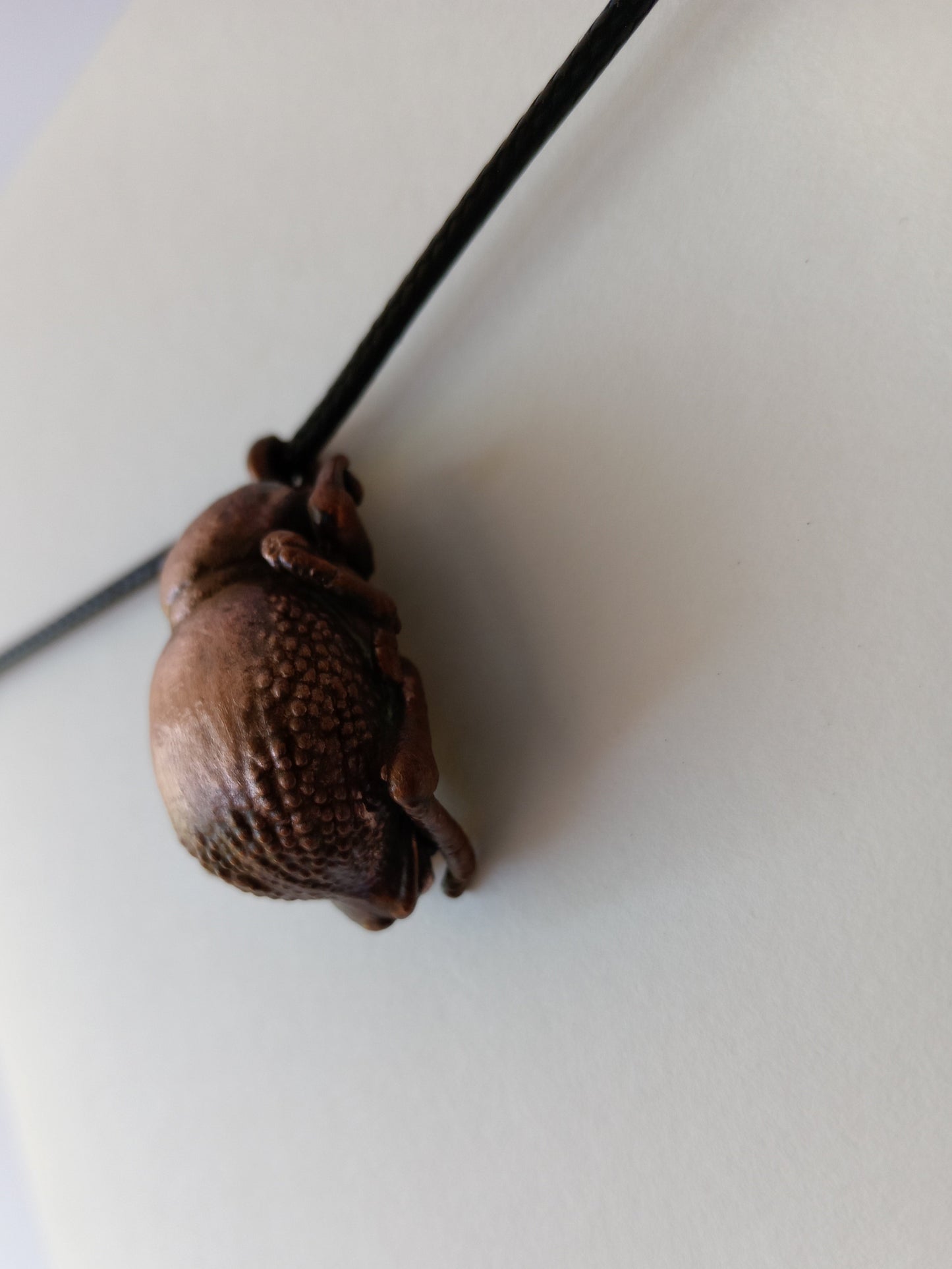 Copper Toktok Beetle