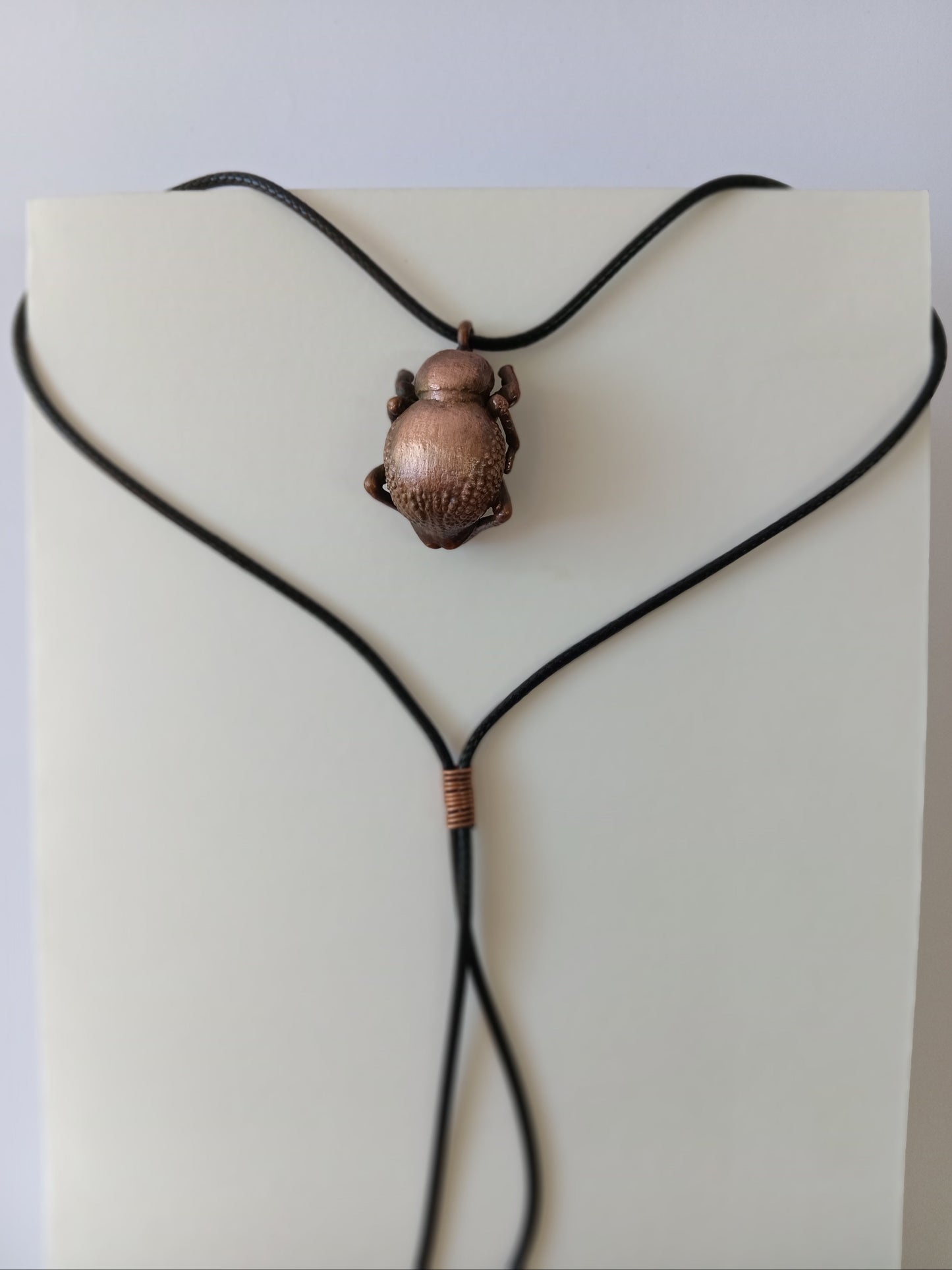 Copper Toktok Beetle