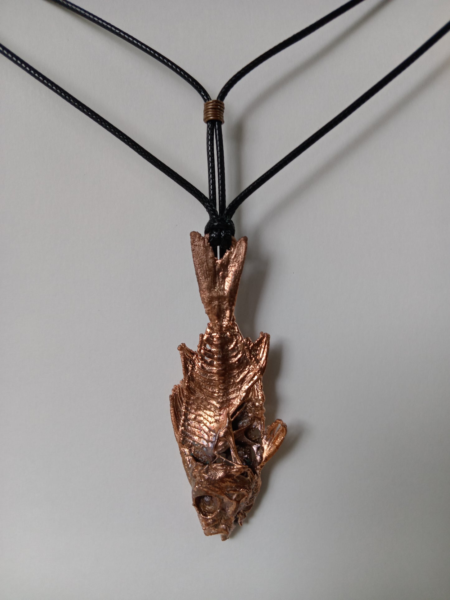 Copper Fish