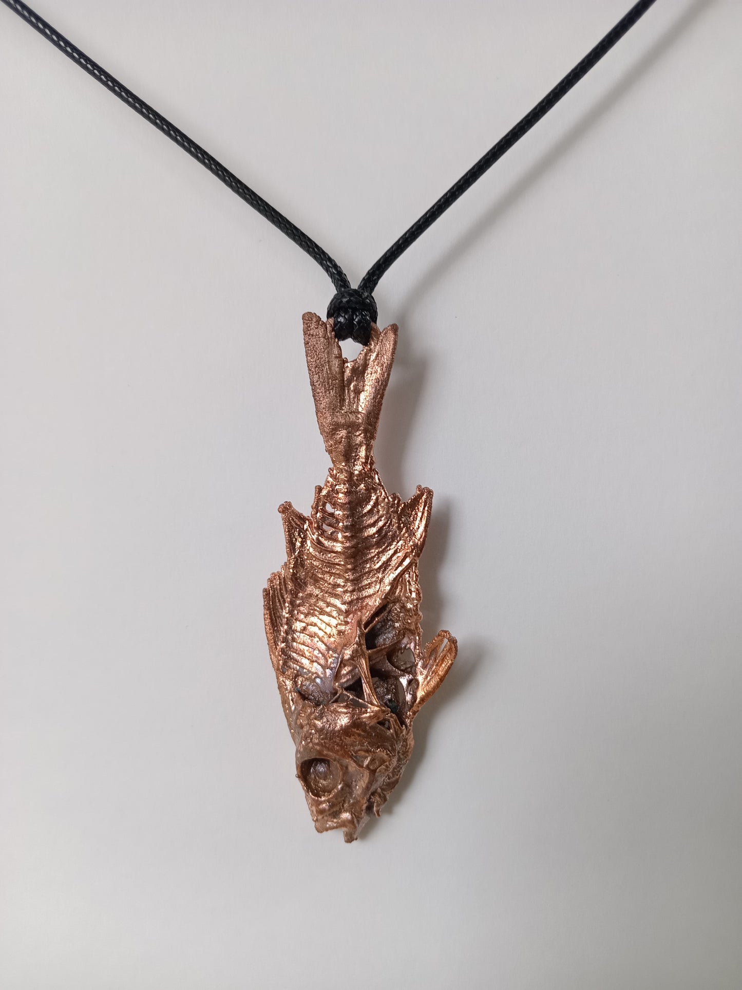 Copper Fish