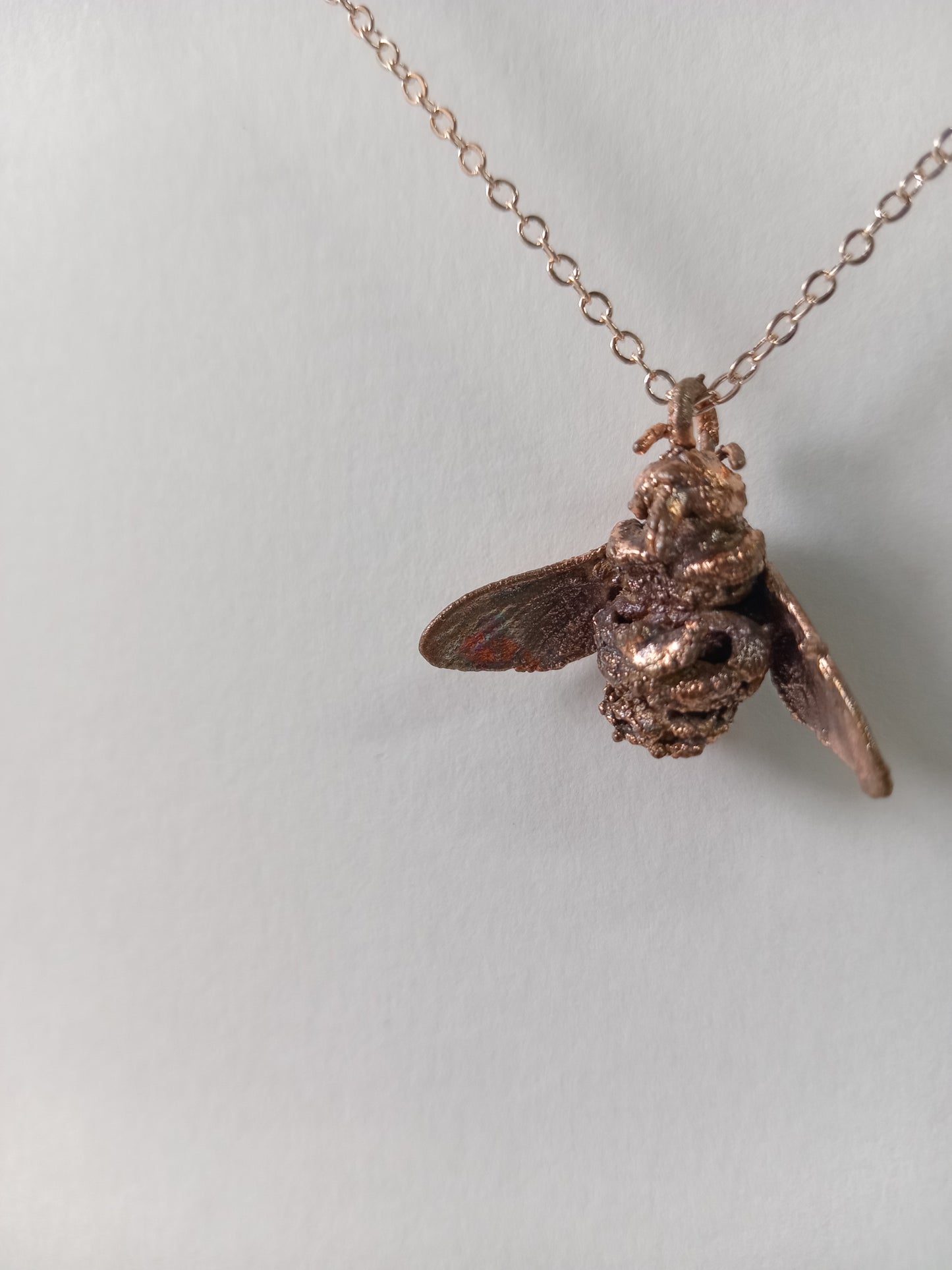 Copper Bee