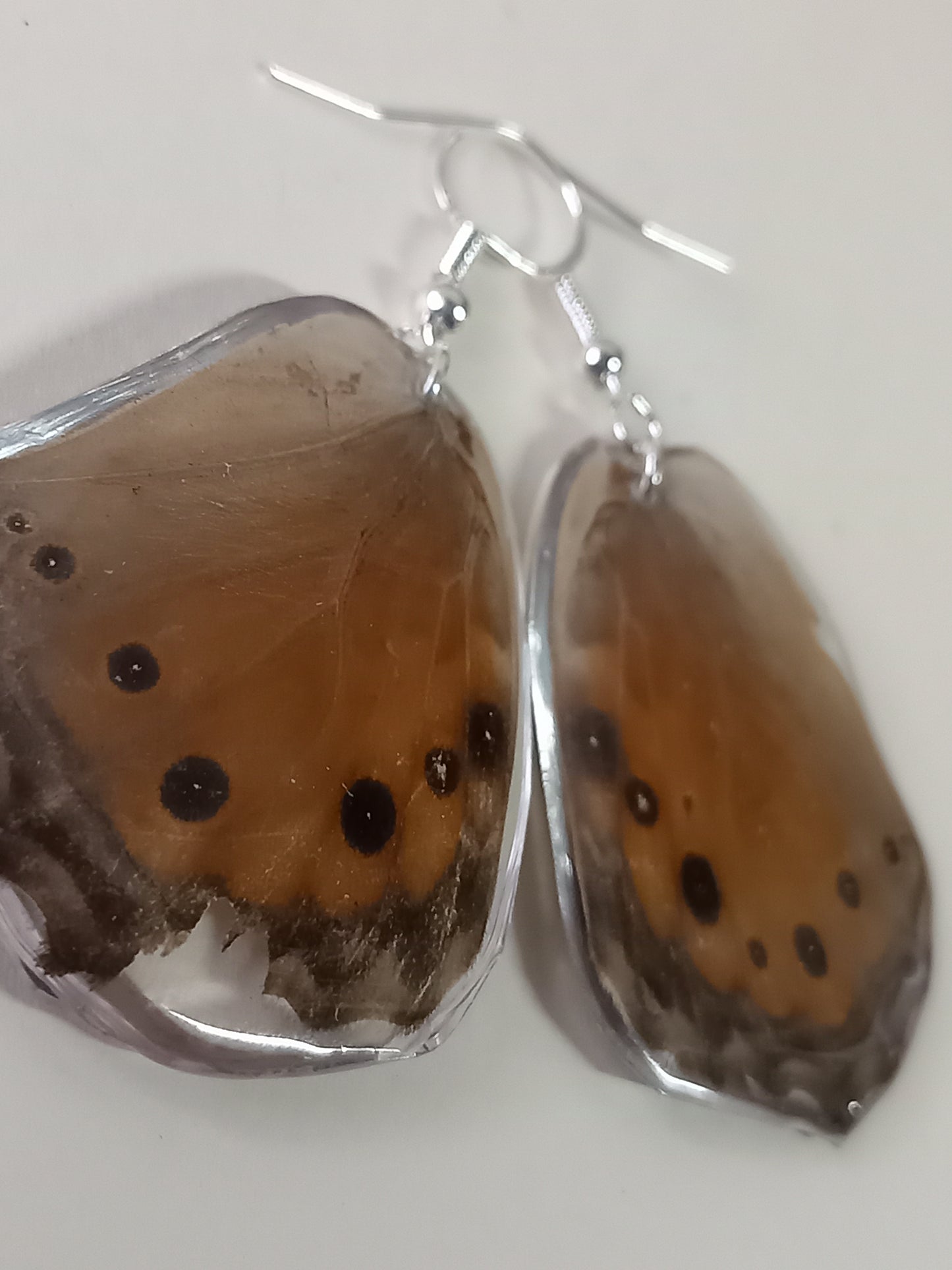 Real Butterfly Earrings encased in Resin