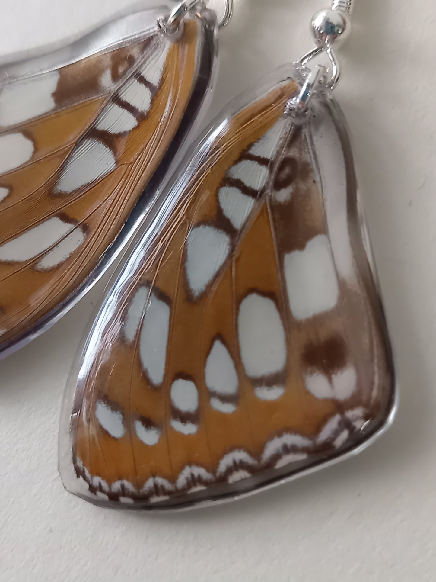 Black, white and Orange