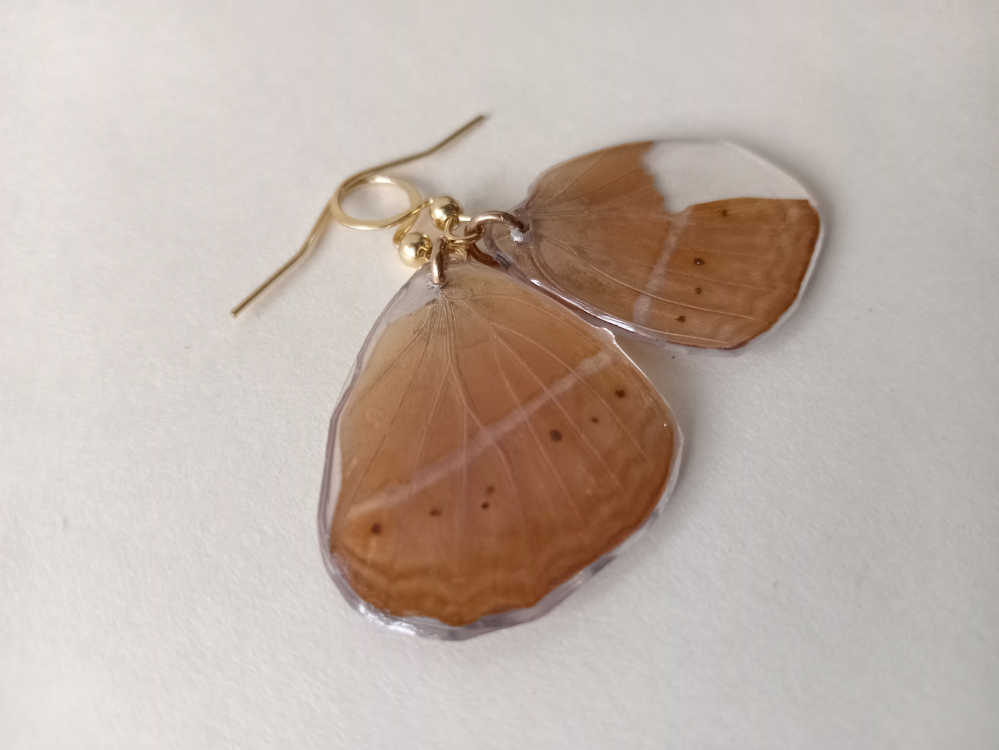 Butterfly torn