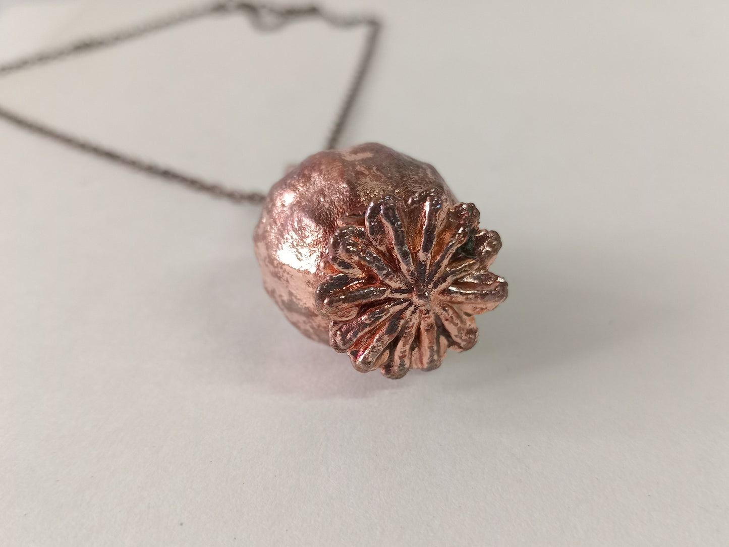 Poppy Seed Pod