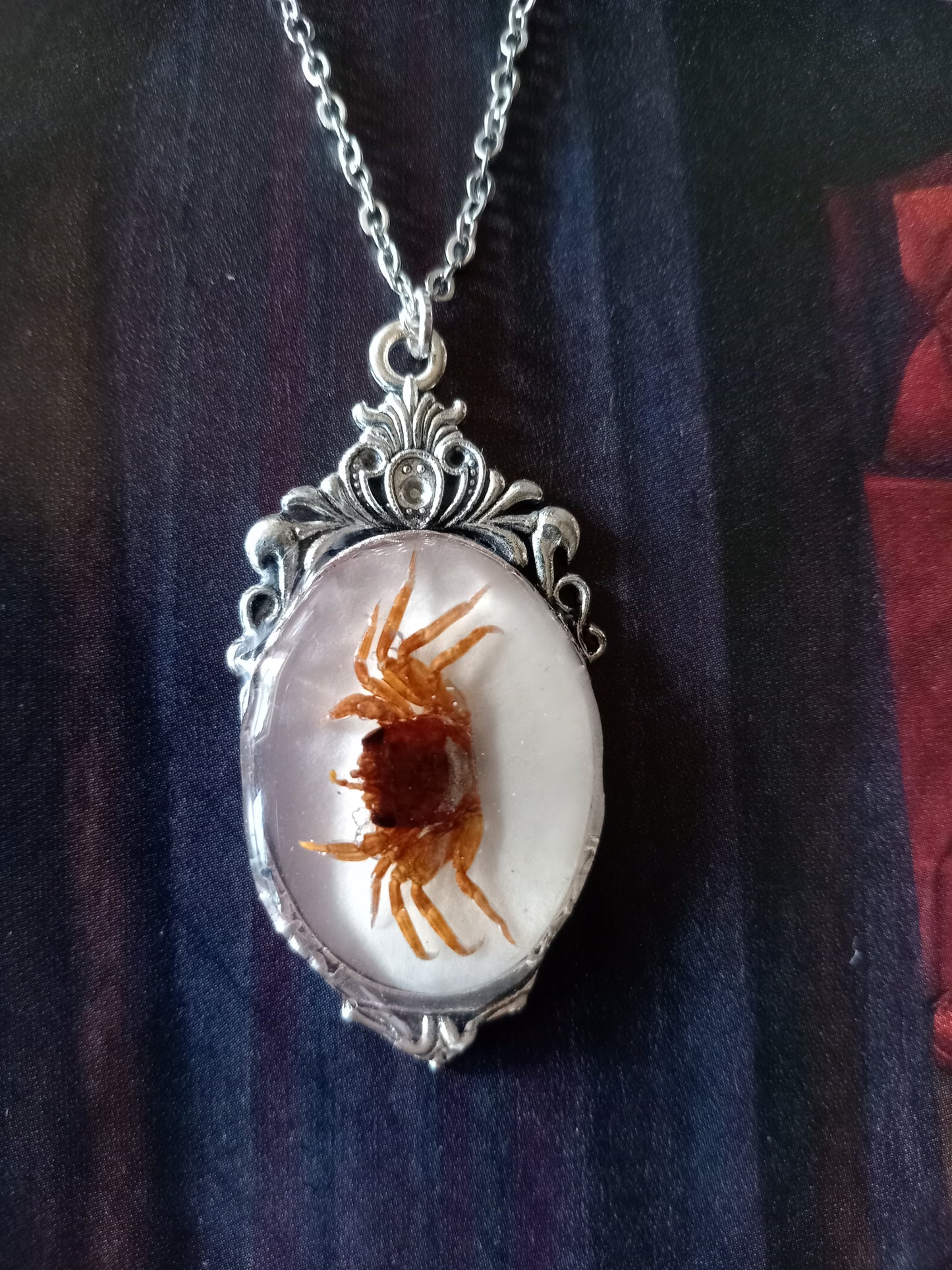 Little crab
