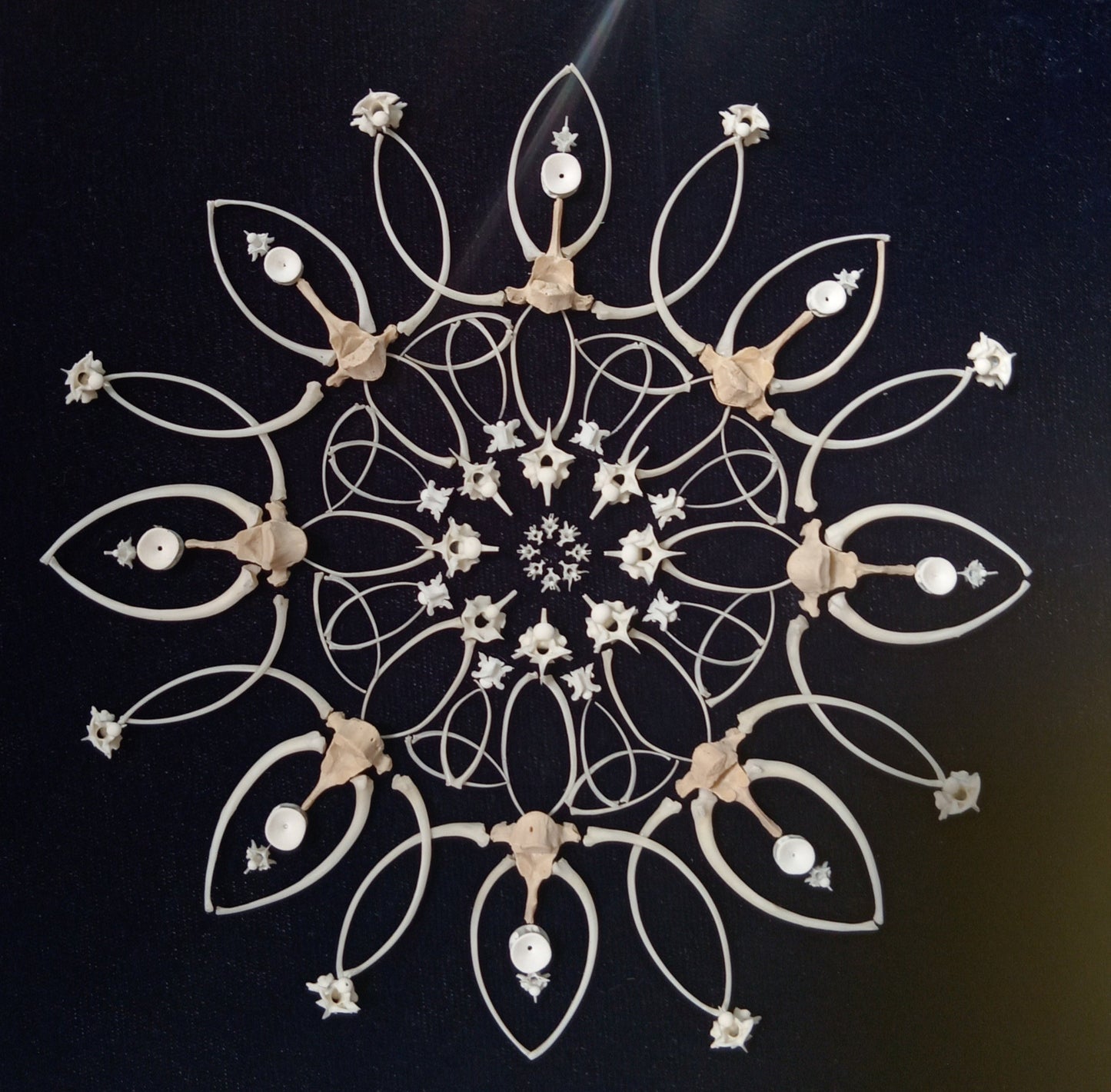 Snake, Mongoose and Shark Bone Mandala