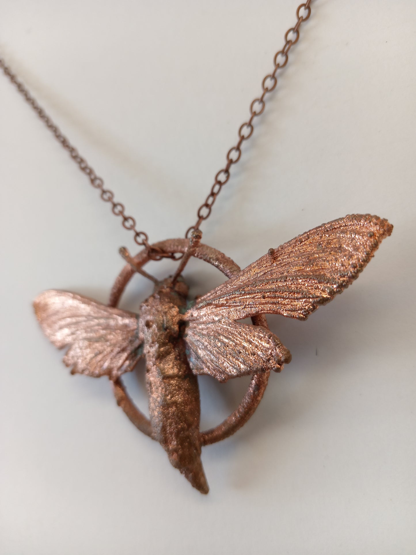 Moth