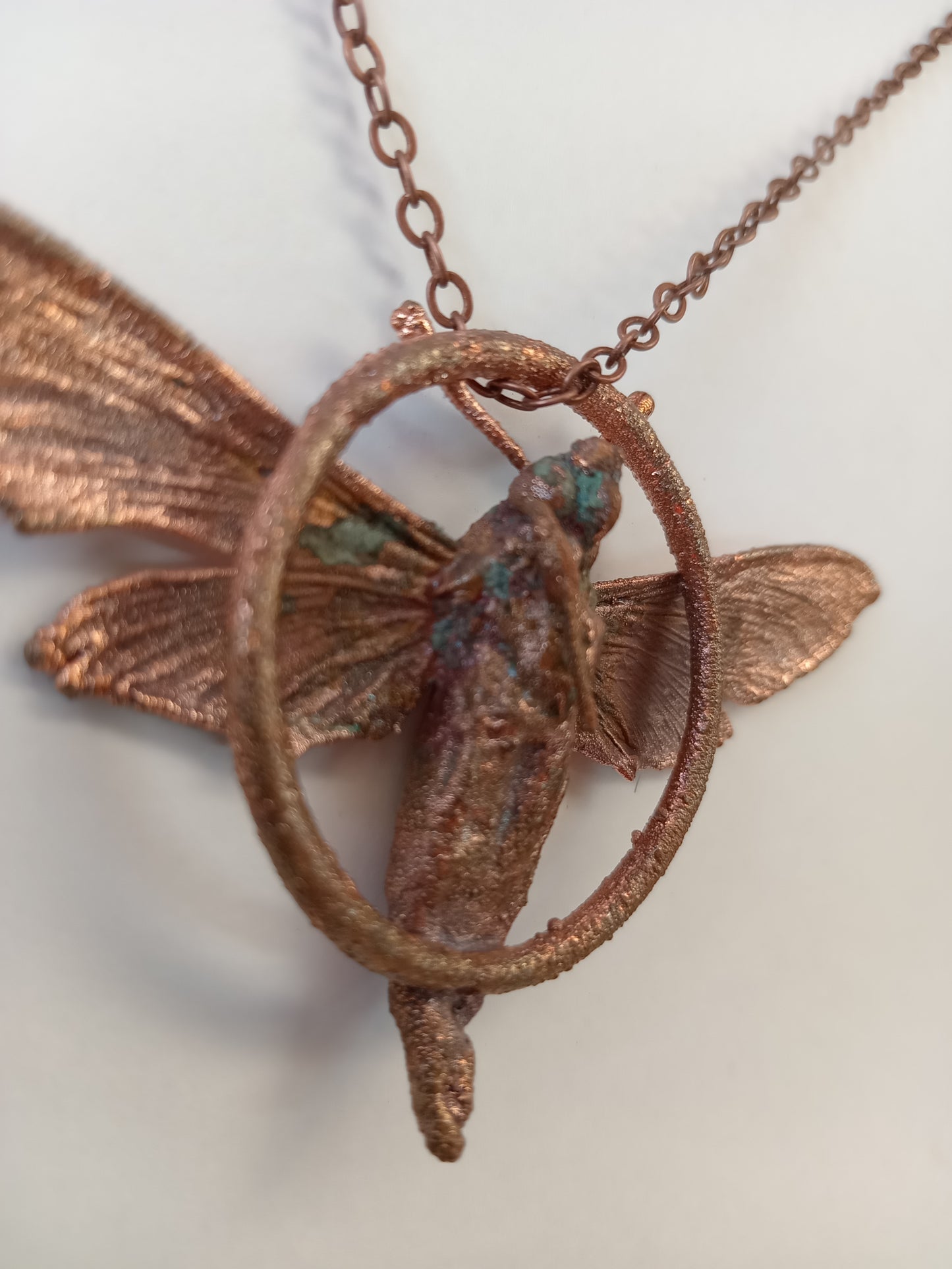 Moth