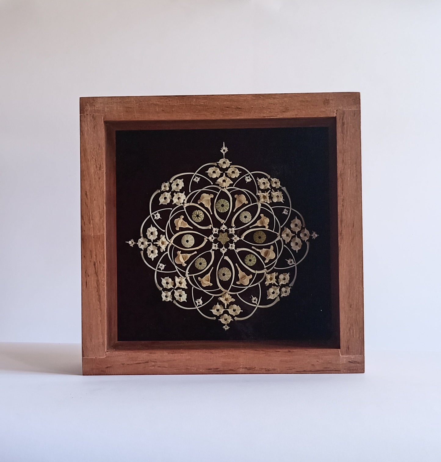 Sea and Snake Bone Mandala