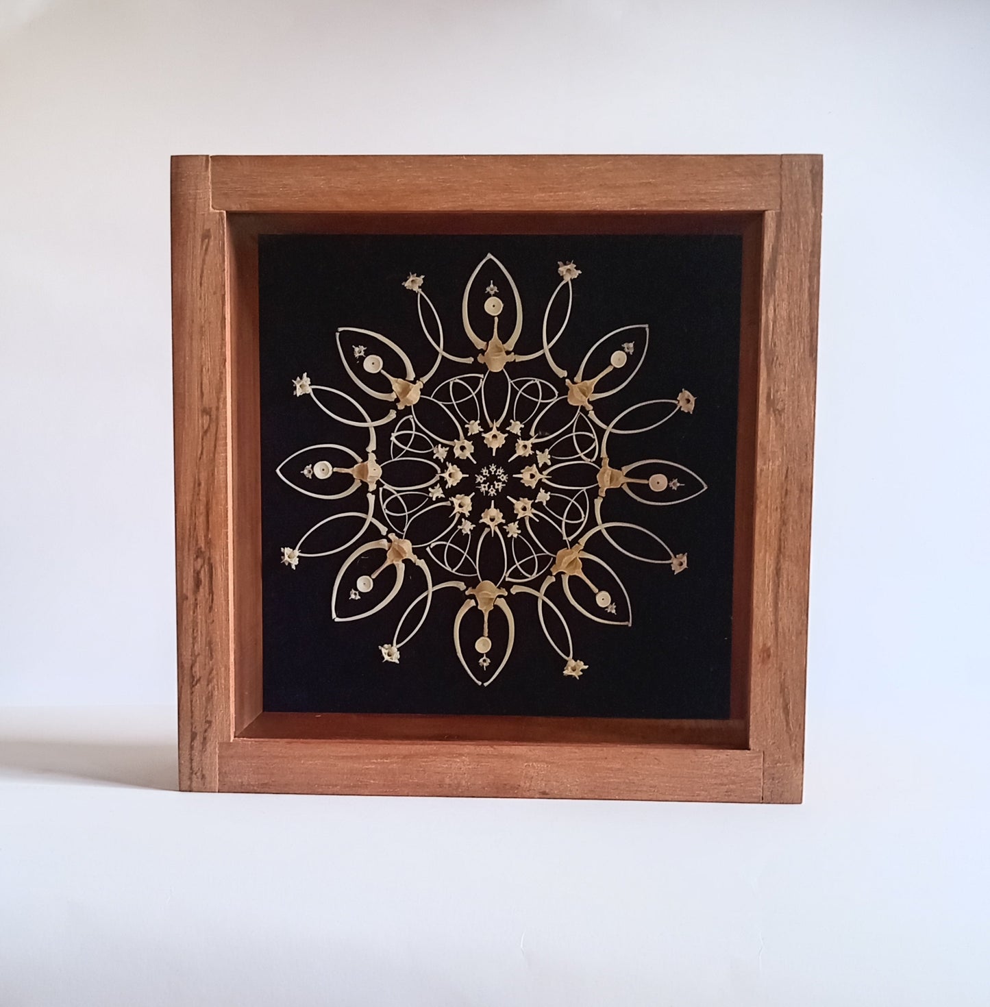 Snake, Mongoose and Shark Bone Mandala