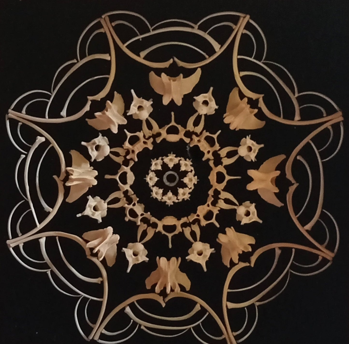 Snake and Mongoose Bone Mandala