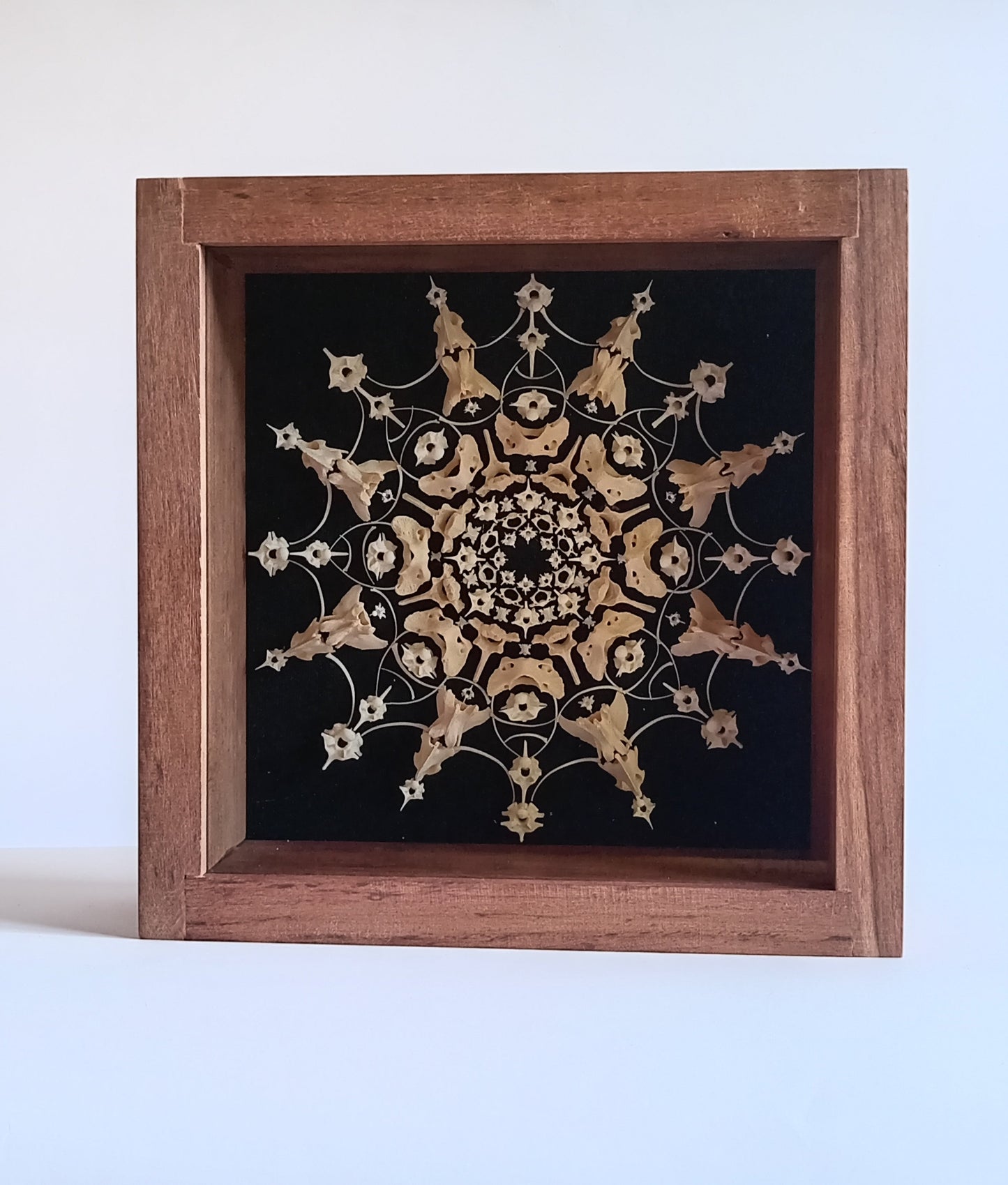 Snake and Mongoose Bone Mandala