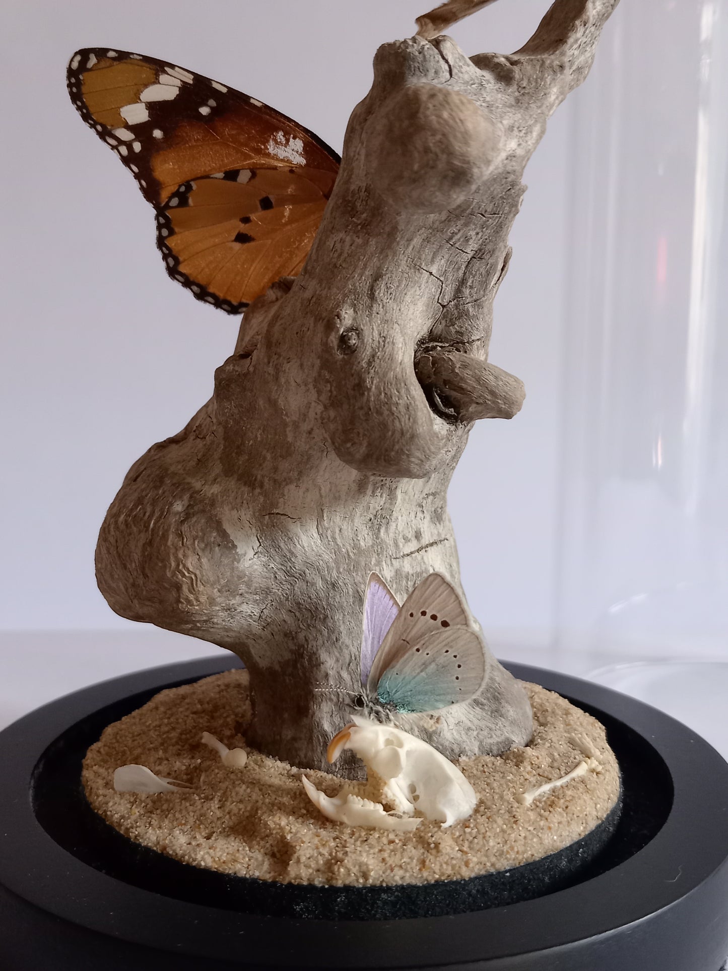Desert Stillness – Glass Dome Display