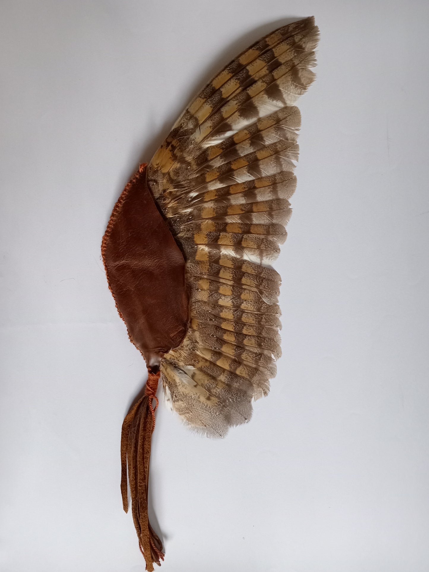 Barn Owl Smudge Wing