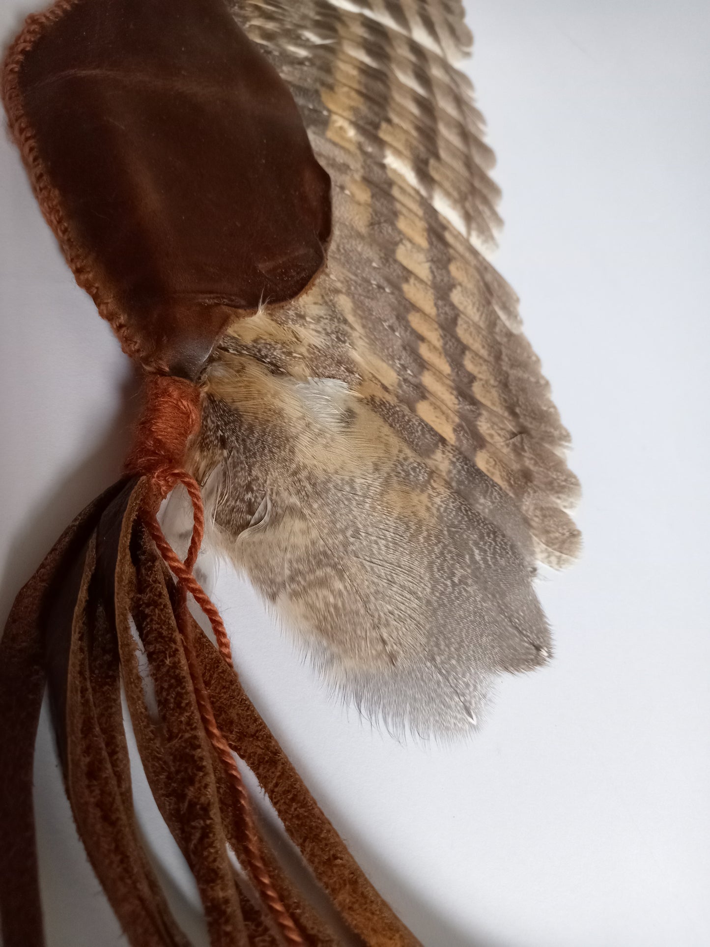 Barn Owl Smudge Wing