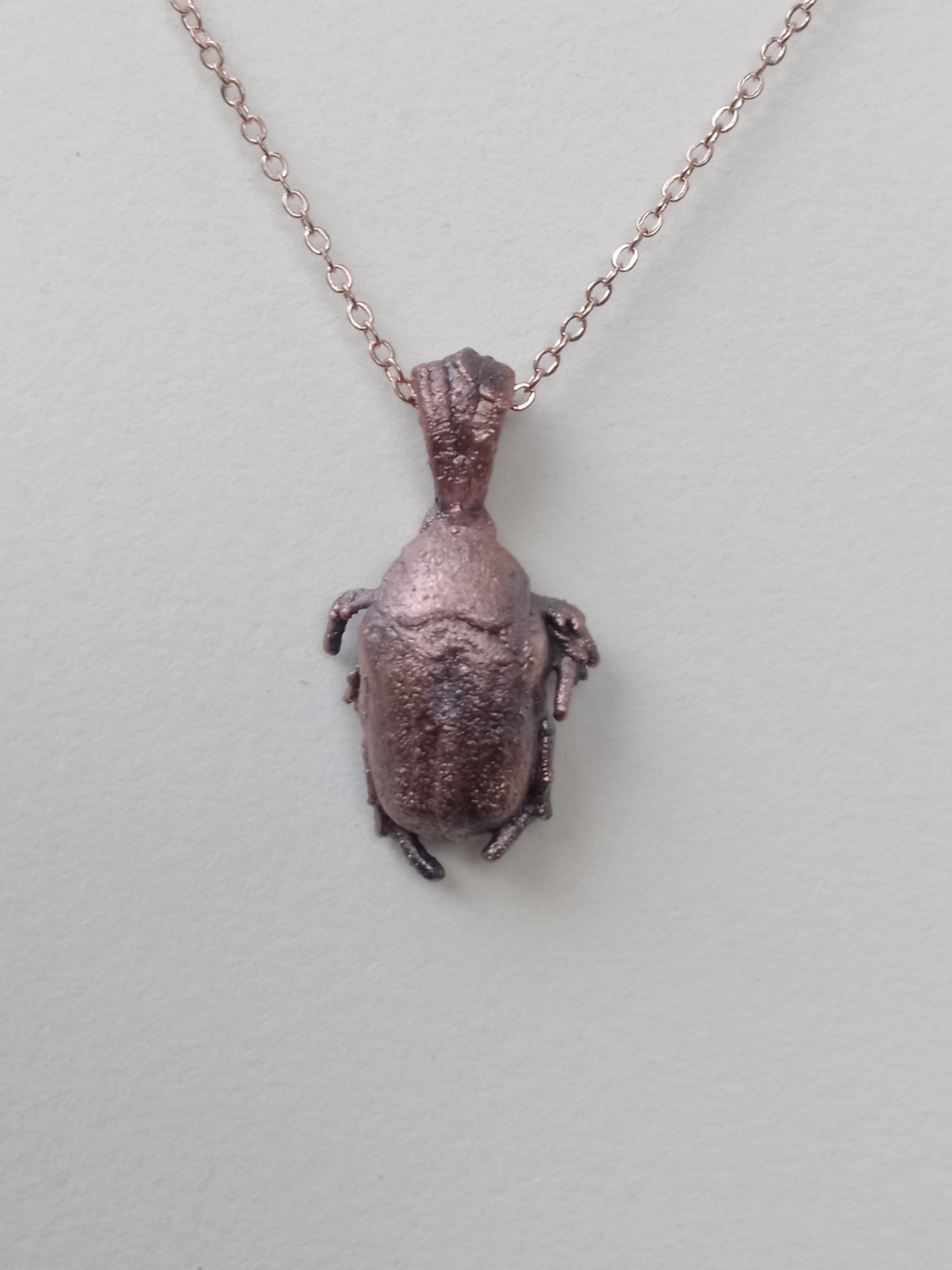 Beetle