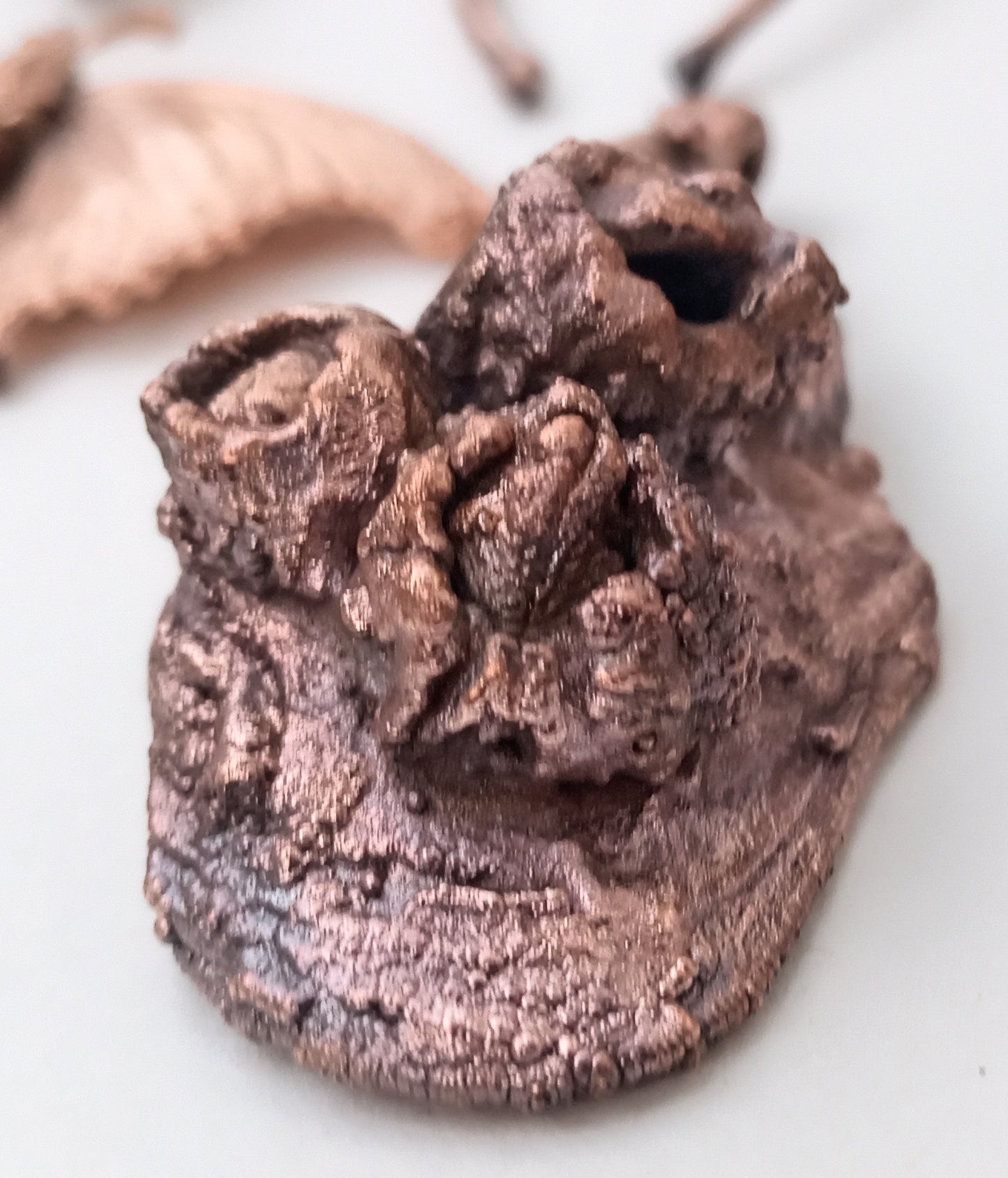 Mussel Shell