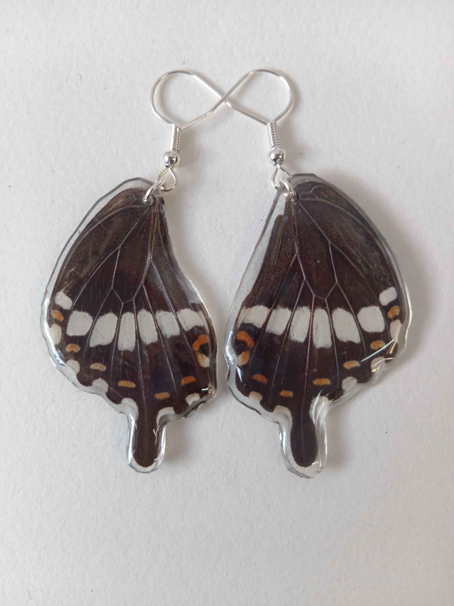 Large black, white and orange