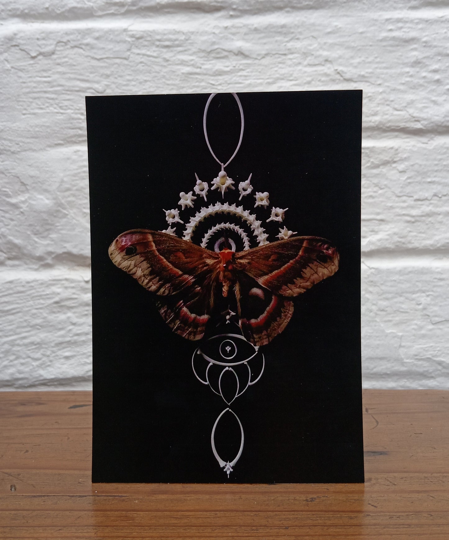 Moth and Snake Bone Postcard