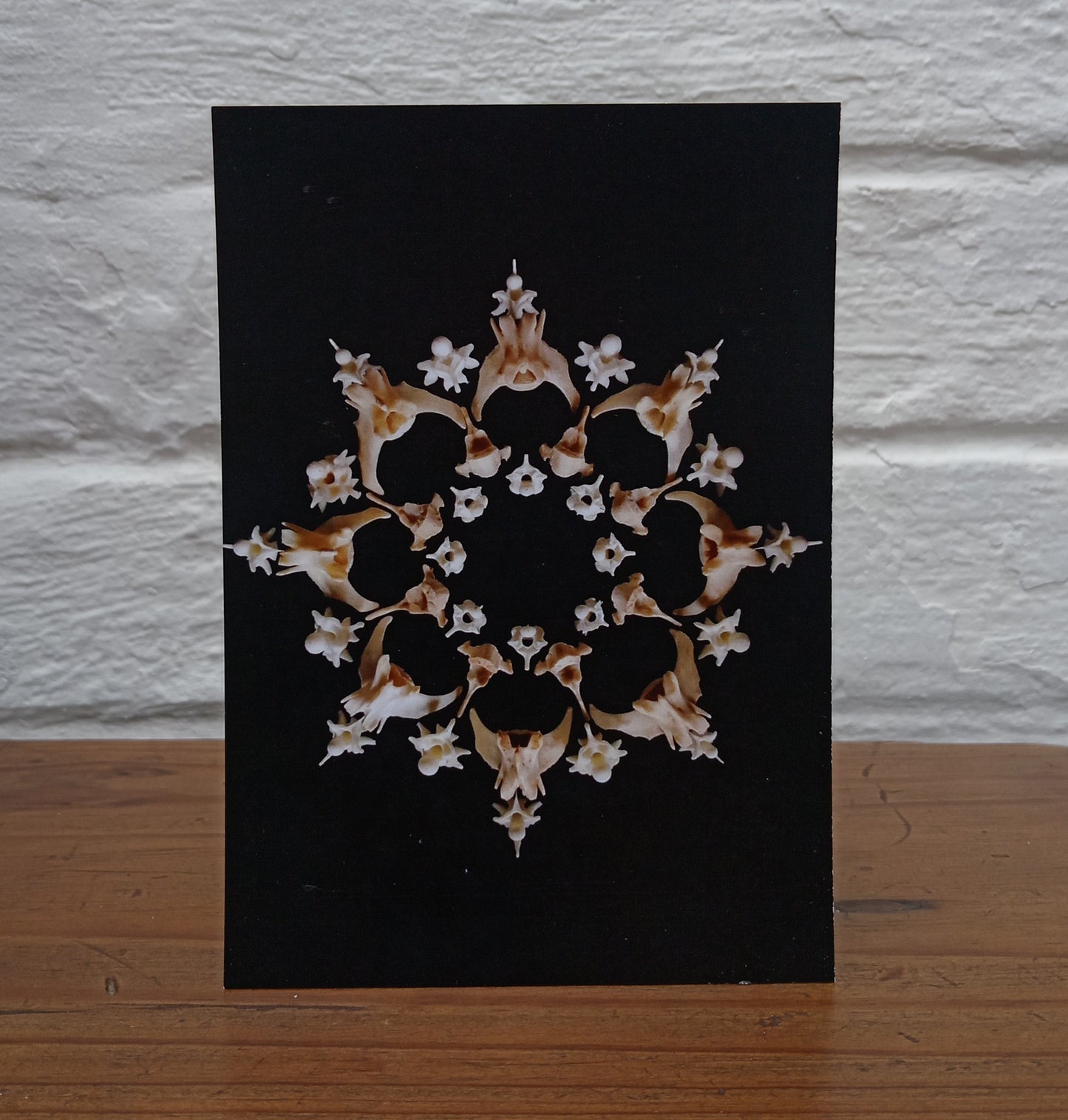 Bone Mandala Postcard