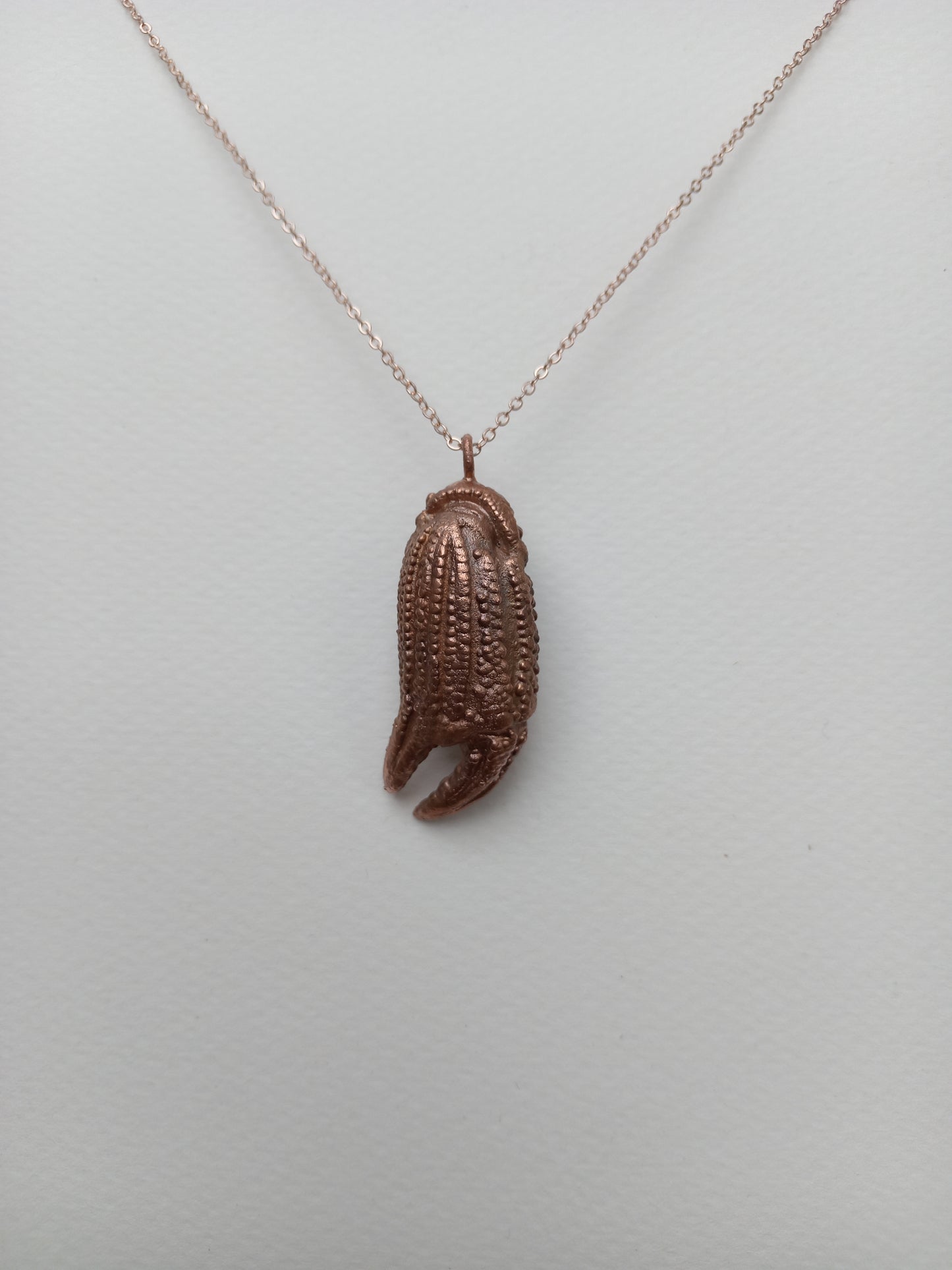 Crab Claw