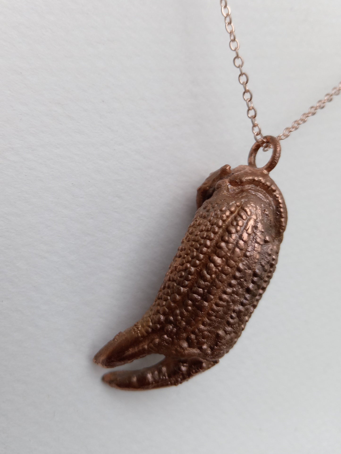 Crab Claw