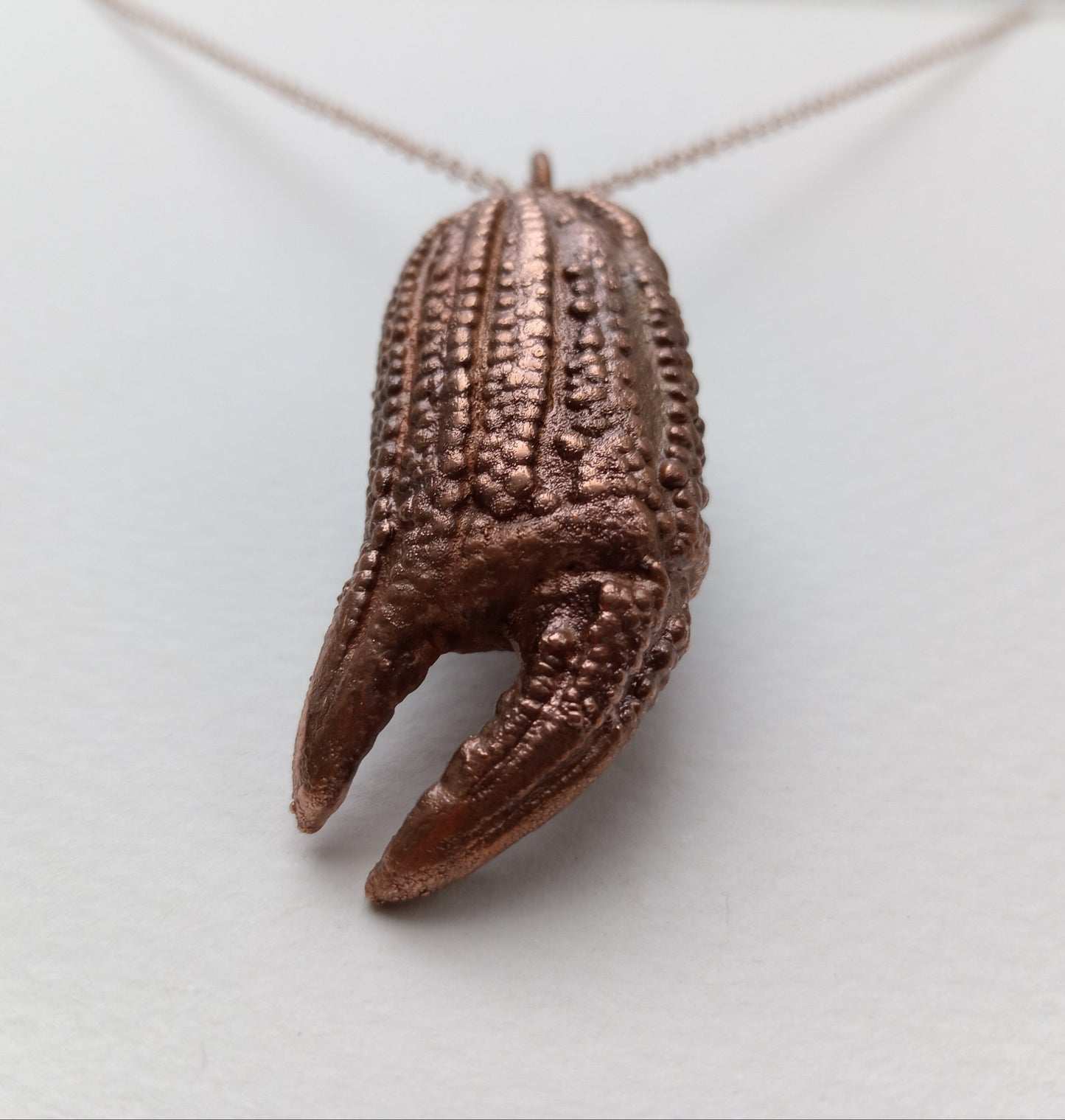 Crab Claw