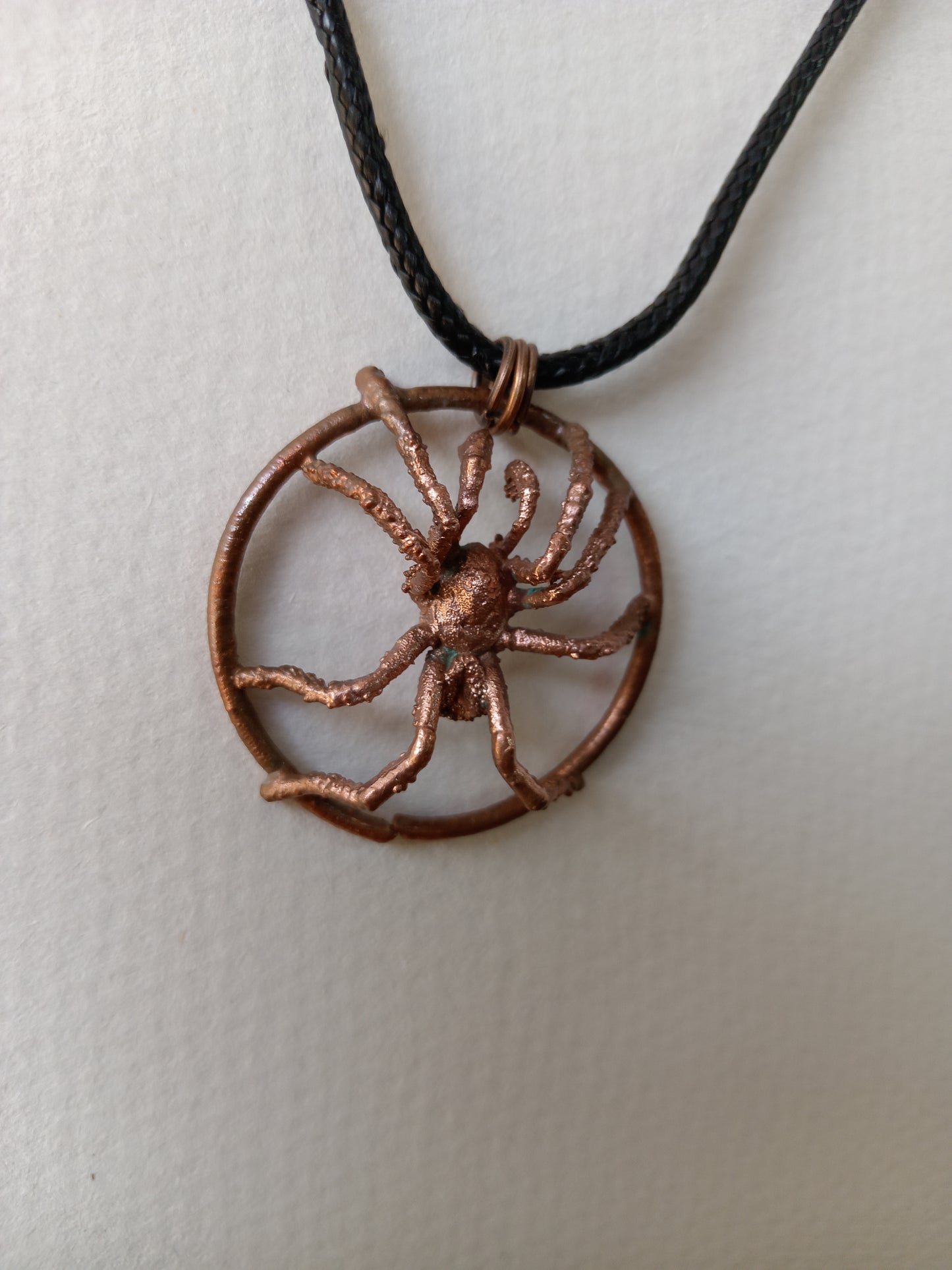 Spider