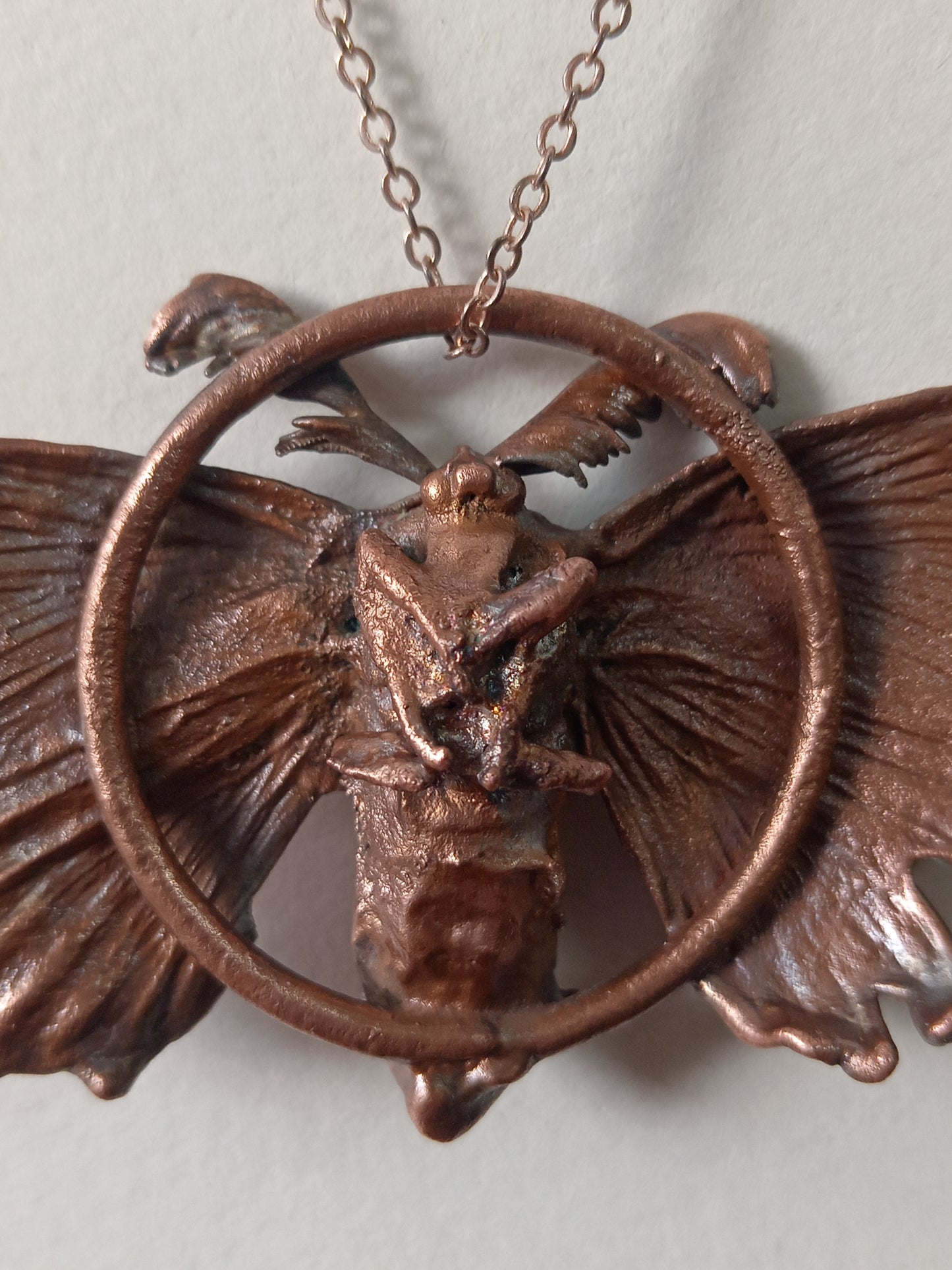 Copper Moth