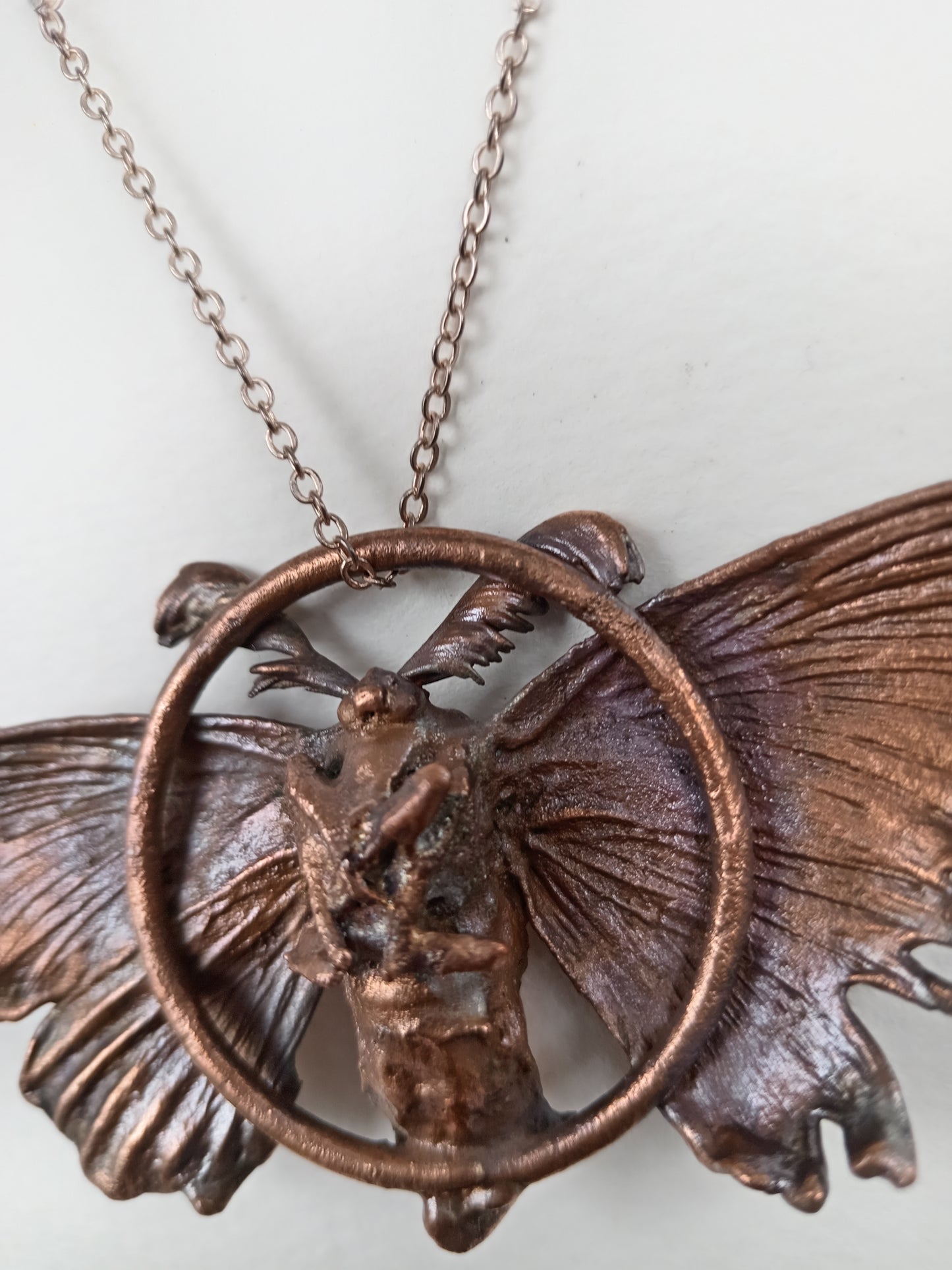 Copper Moth
