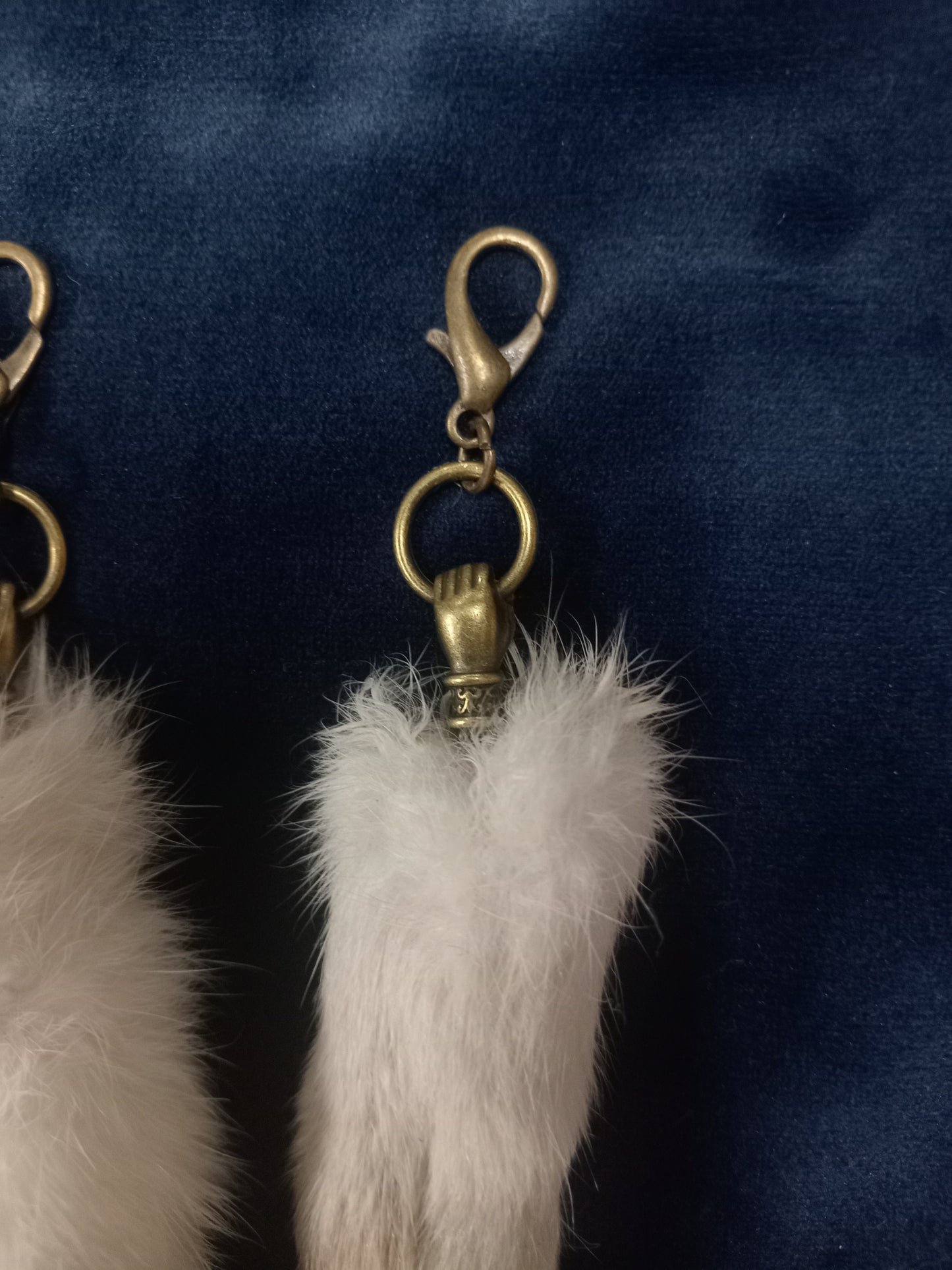 Lucky rabbits foot