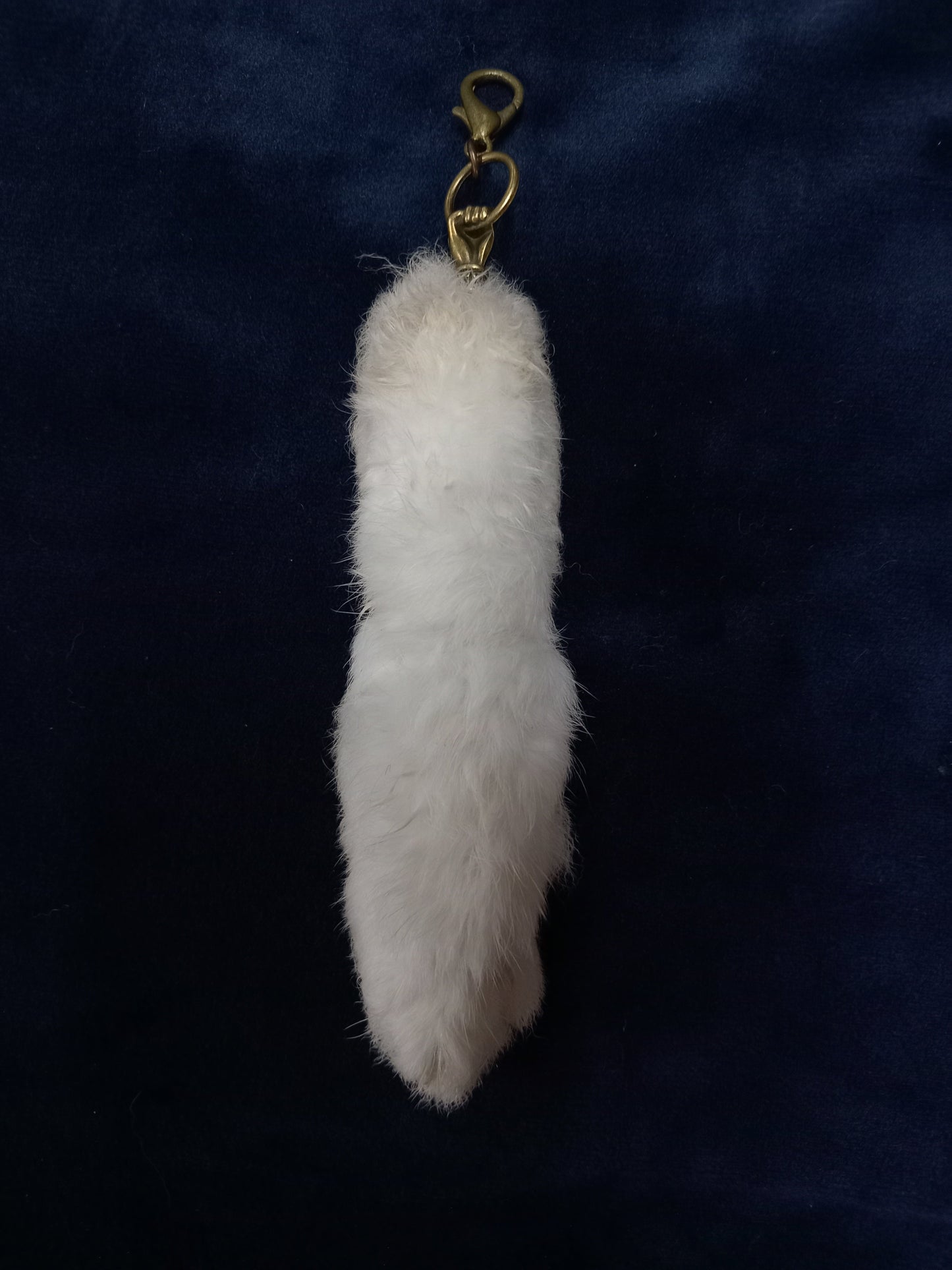Lucky rabbits foot