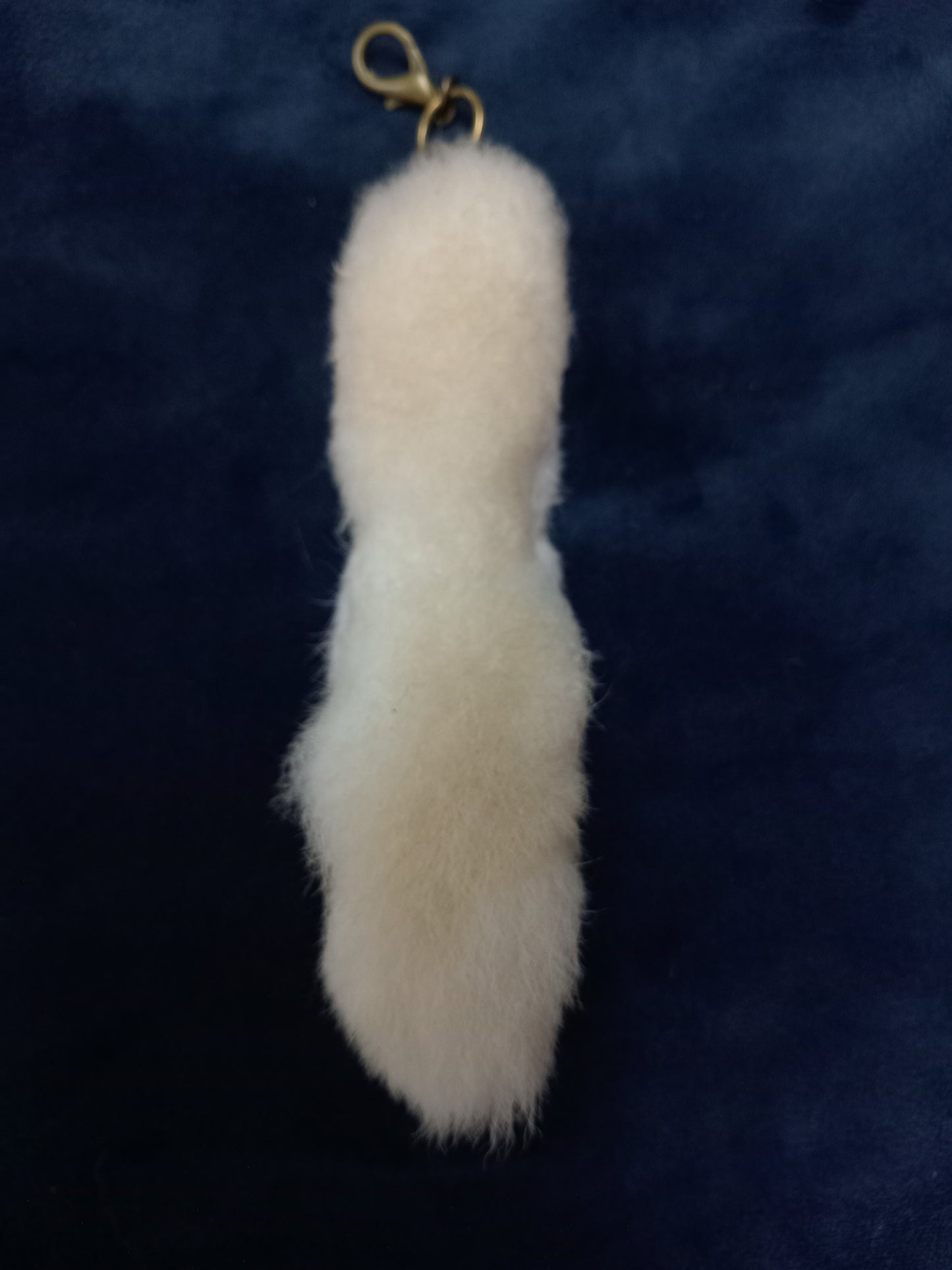 Lucky rabbits foot