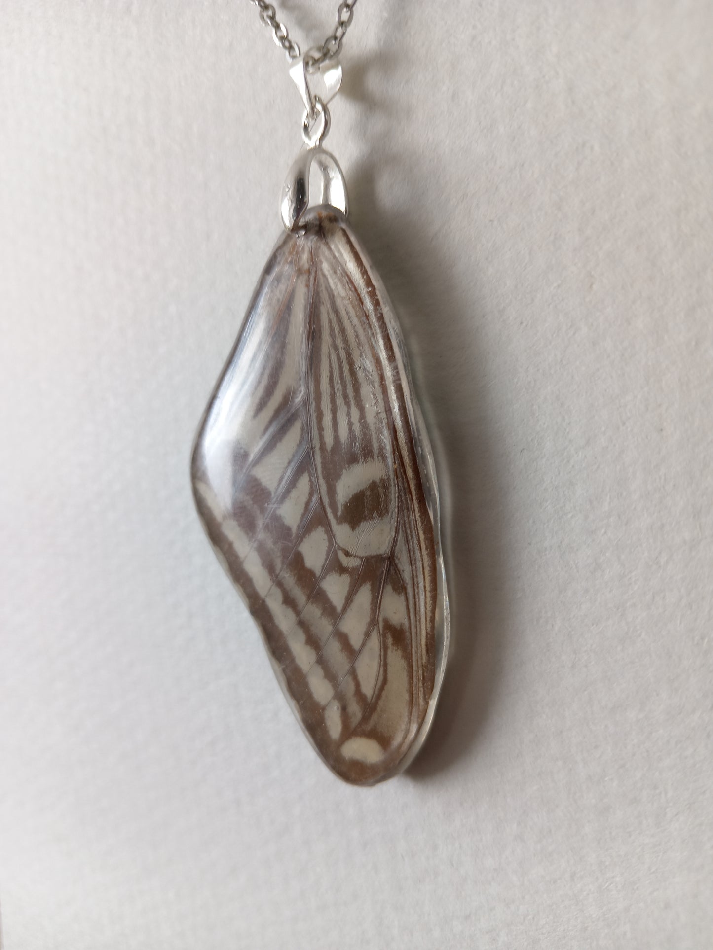Watcher wing