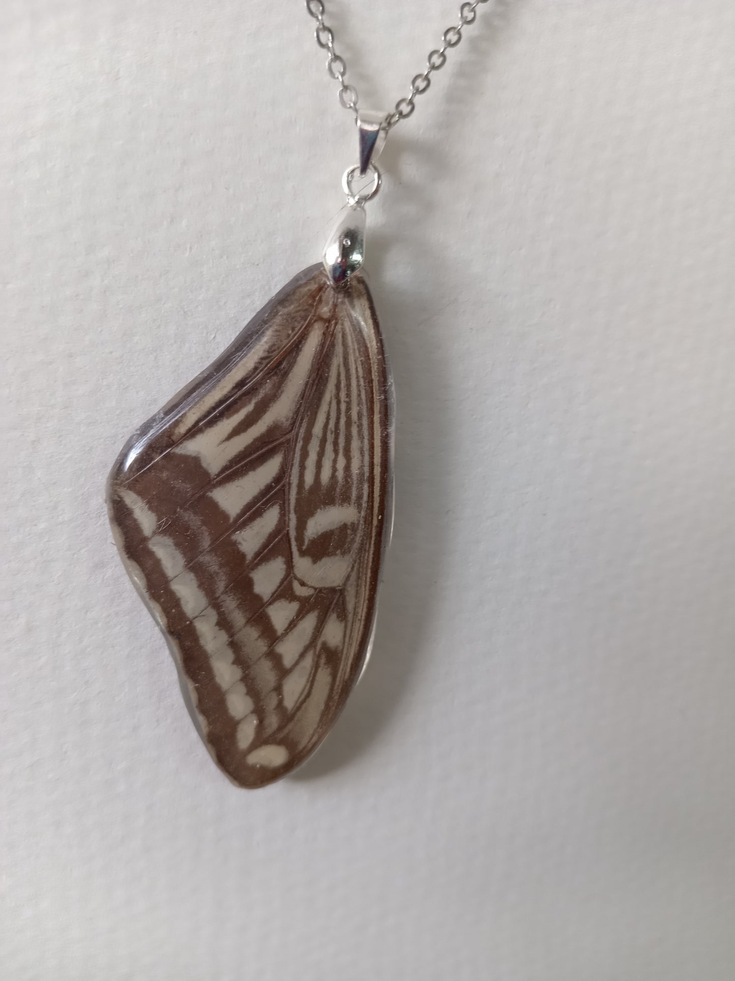 Watcher wing
