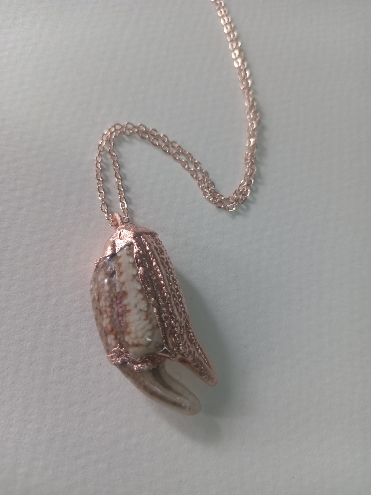 Crab Claw