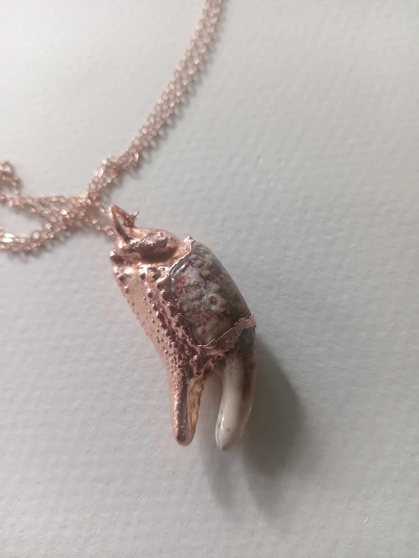 Crab Claw