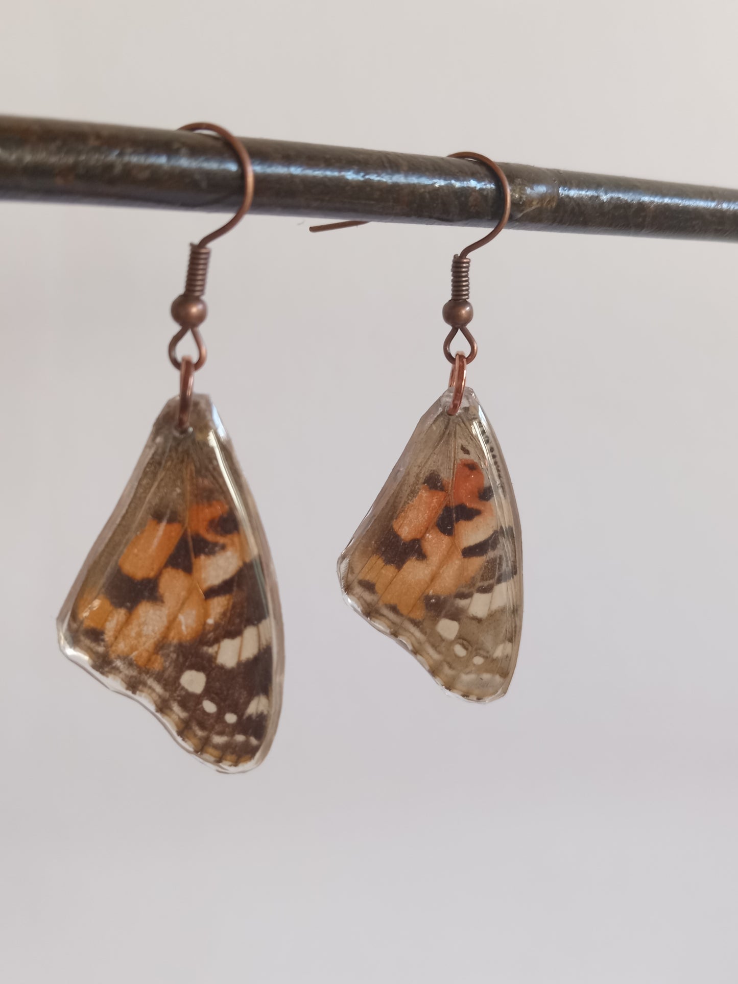 Painted Lady